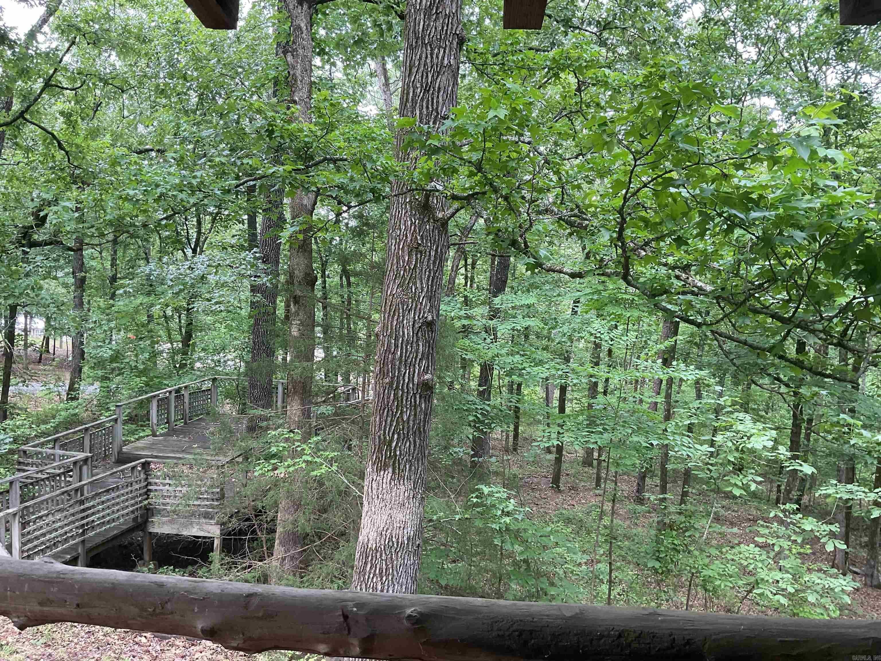 1602  Lake Cliff  Higden, AR