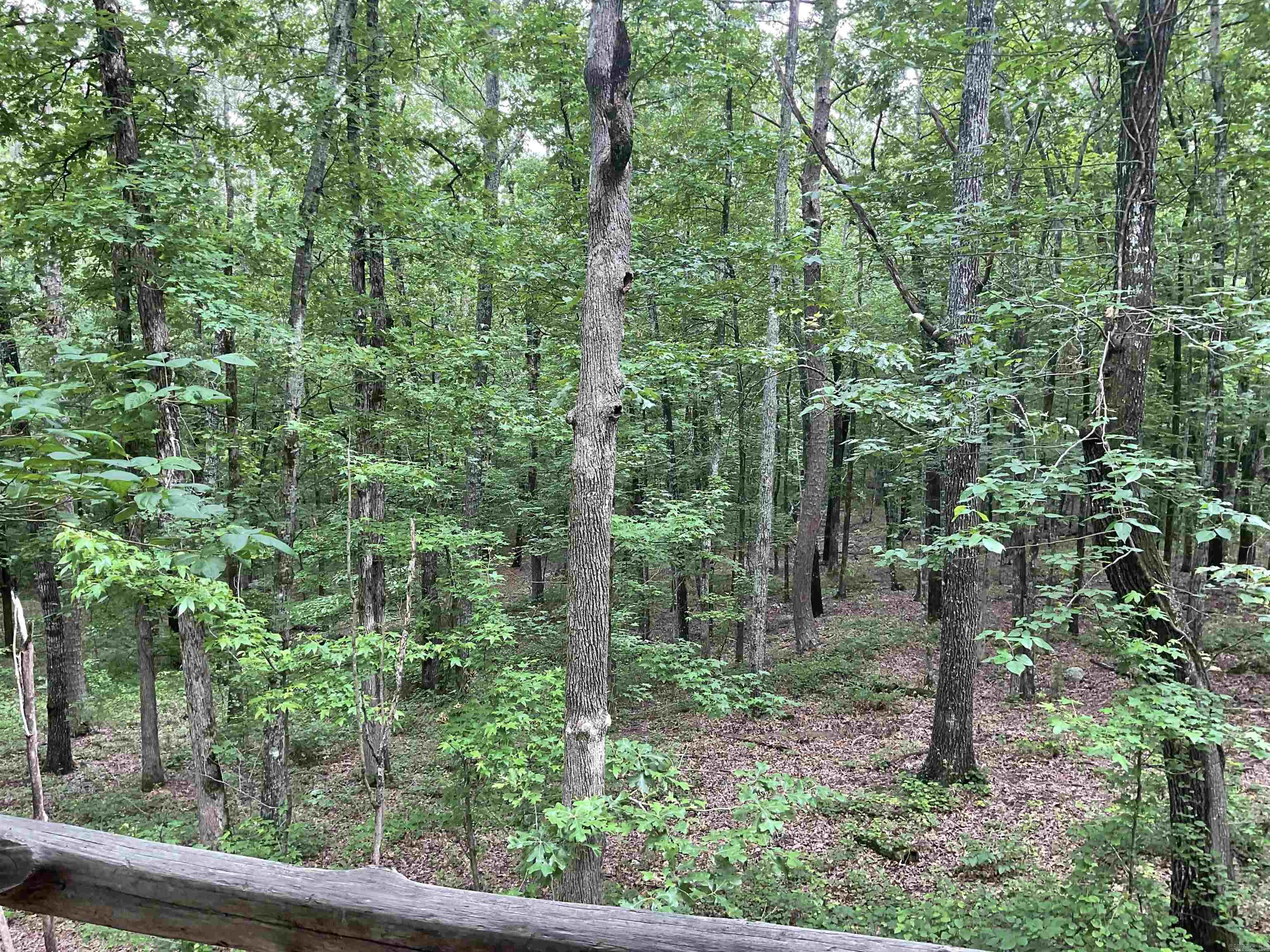 1602  Lake Cliff  Higden, AR