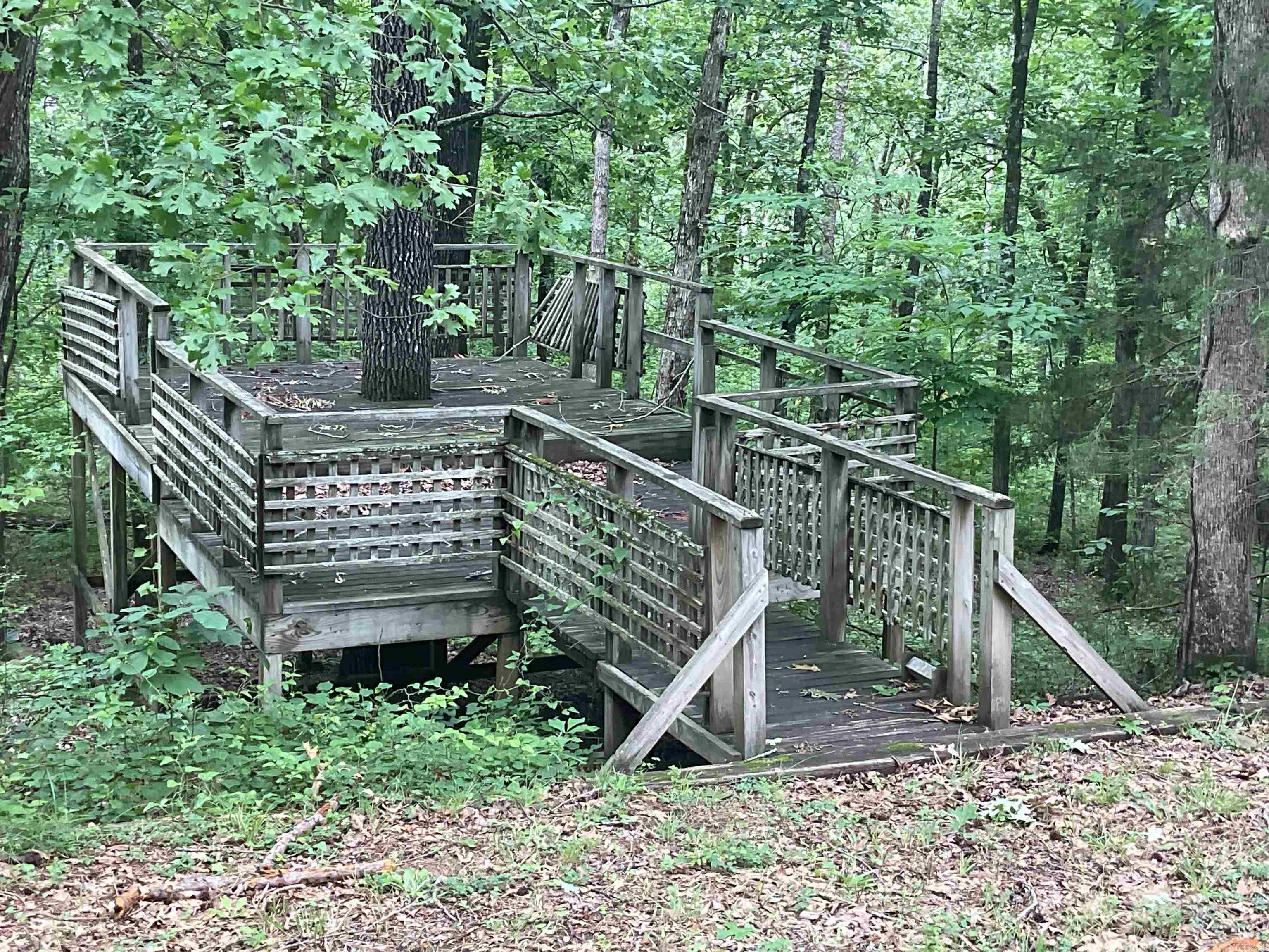 1602  Lake Cliff  Higden, AR
