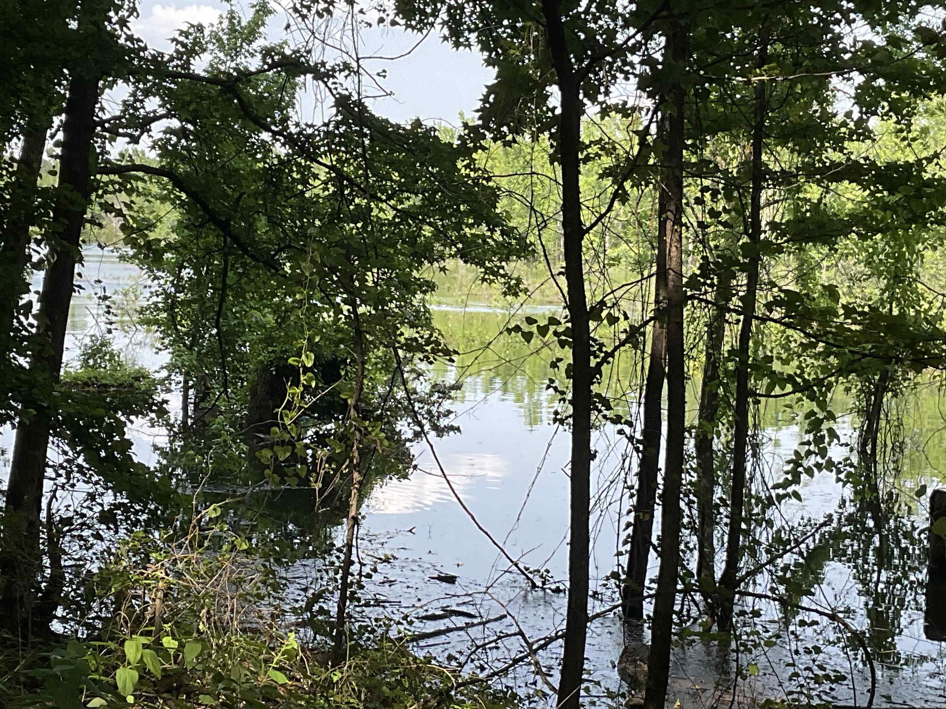 1602  Lake Cliff  Higden, AR