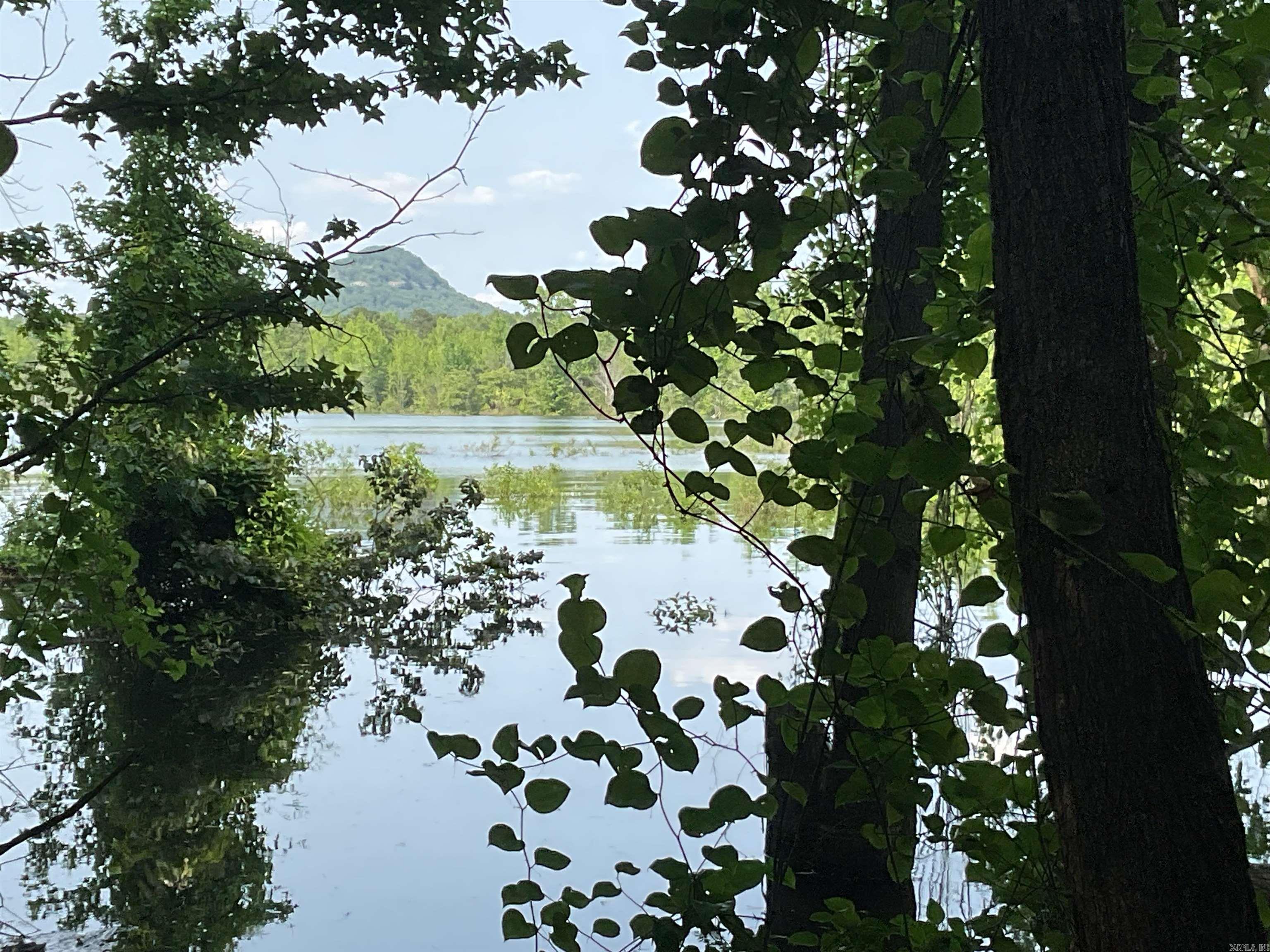 1602  Lake Cliff  Higden, AR