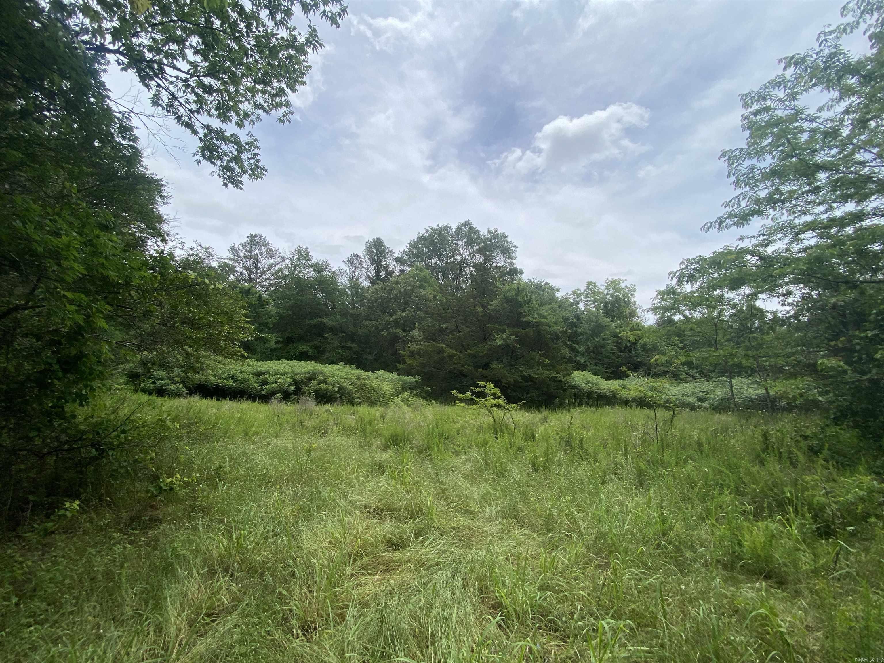 TBD1  Stevenson  Pencil Bluff, AR