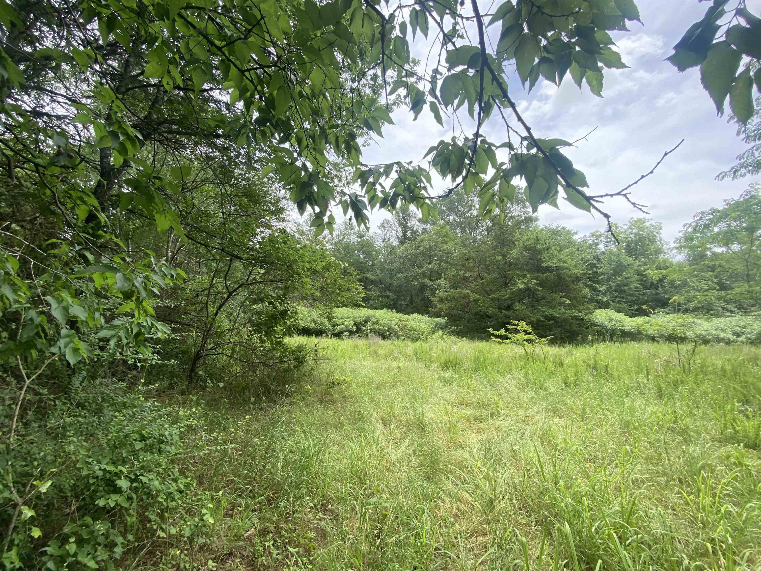 TBD1  Stevenson  Pencil Bluff, AR
