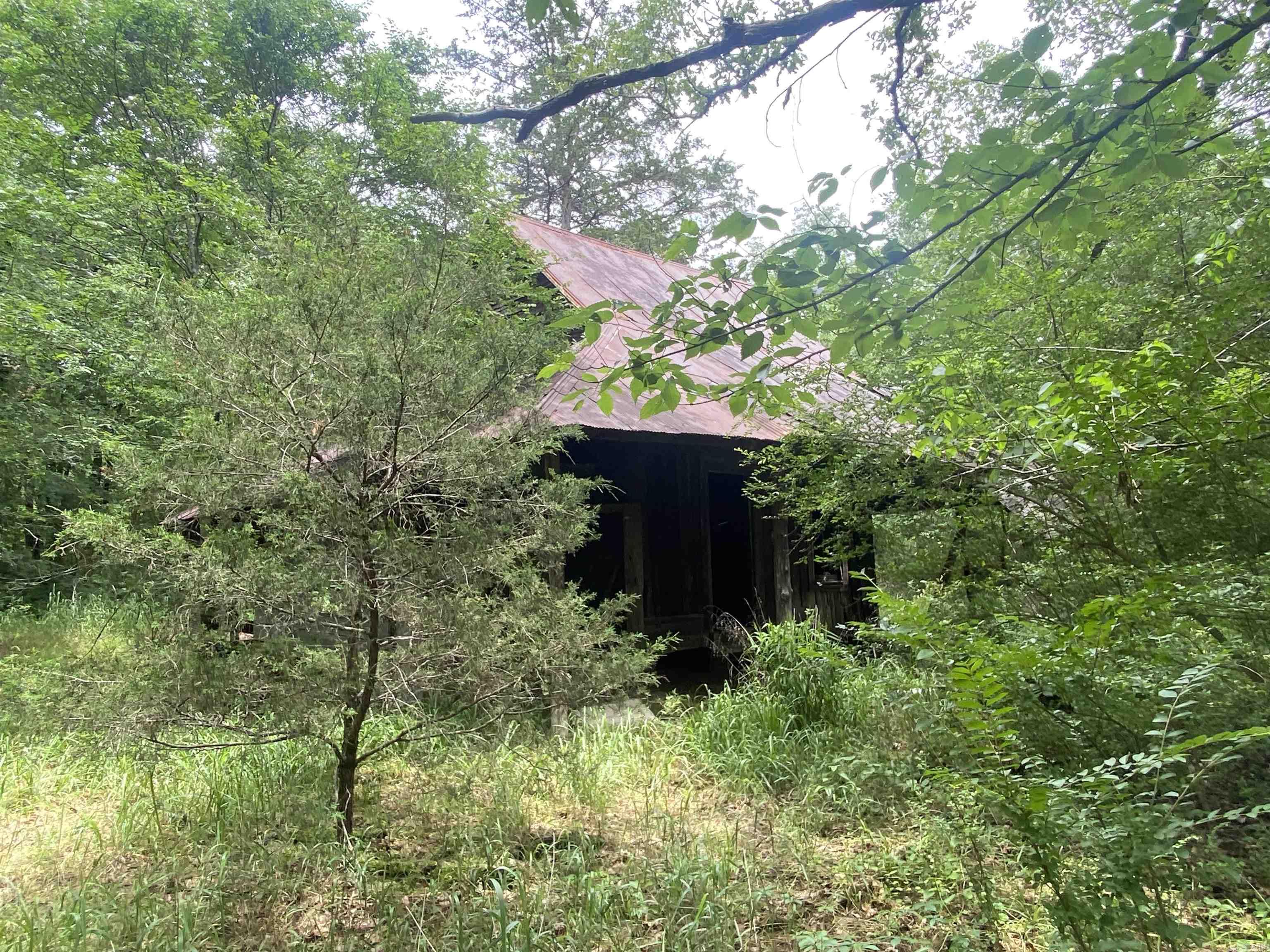 TBD1  Stevenson  Pencil Bluff, AR
