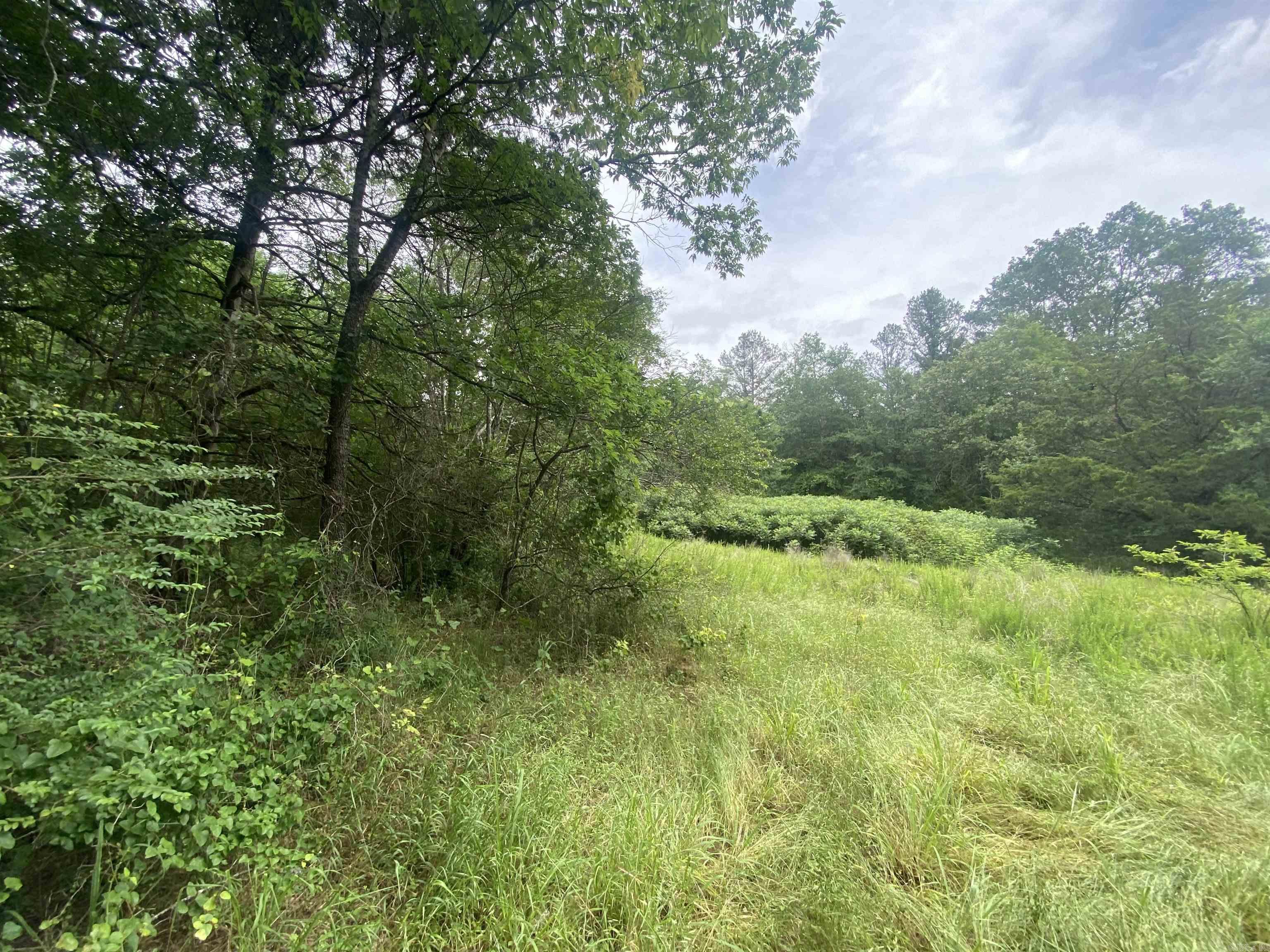 TBD1  Stevenson  Pencil Bluff, AR