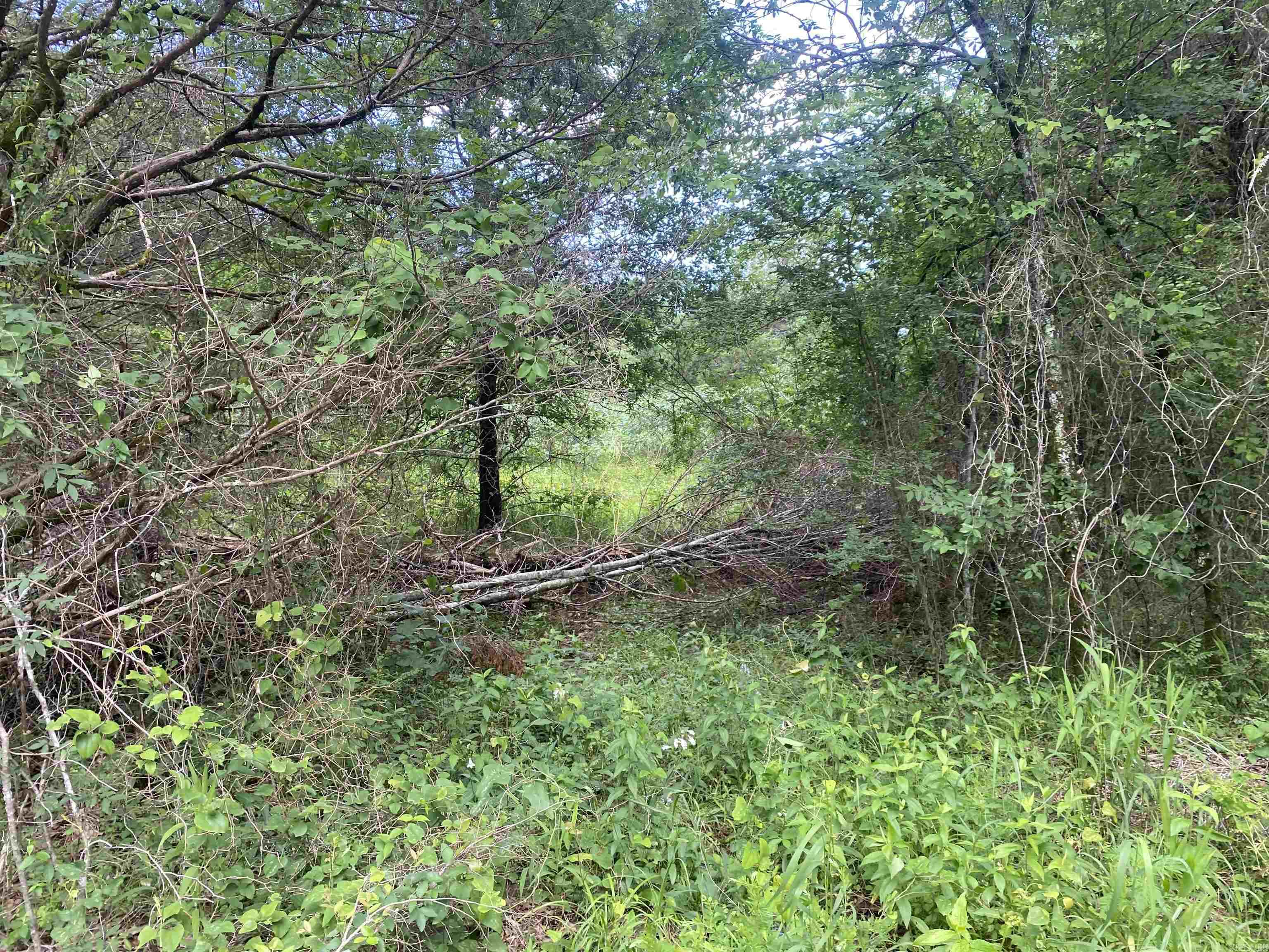 TBD1  Stevenson  Pencil Bluff, AR
