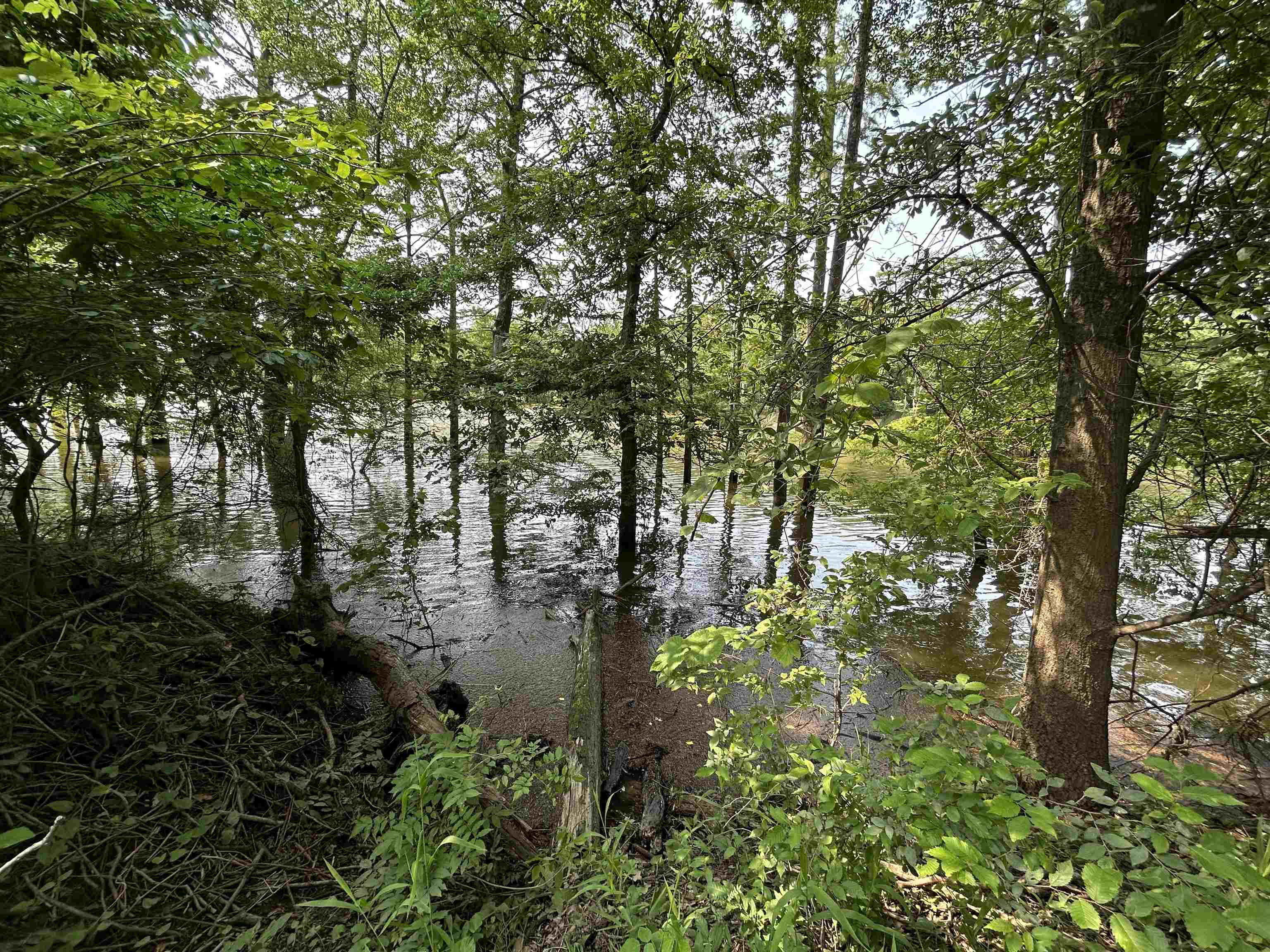 1  Lawrence Road 5030  Portia, AR