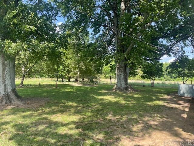1995  Rosebud  Quitman, AR
