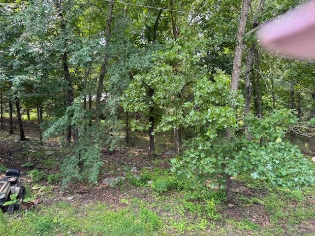 513 & 515 W Tri Lakes Drive  Horseshoe Bend, AR