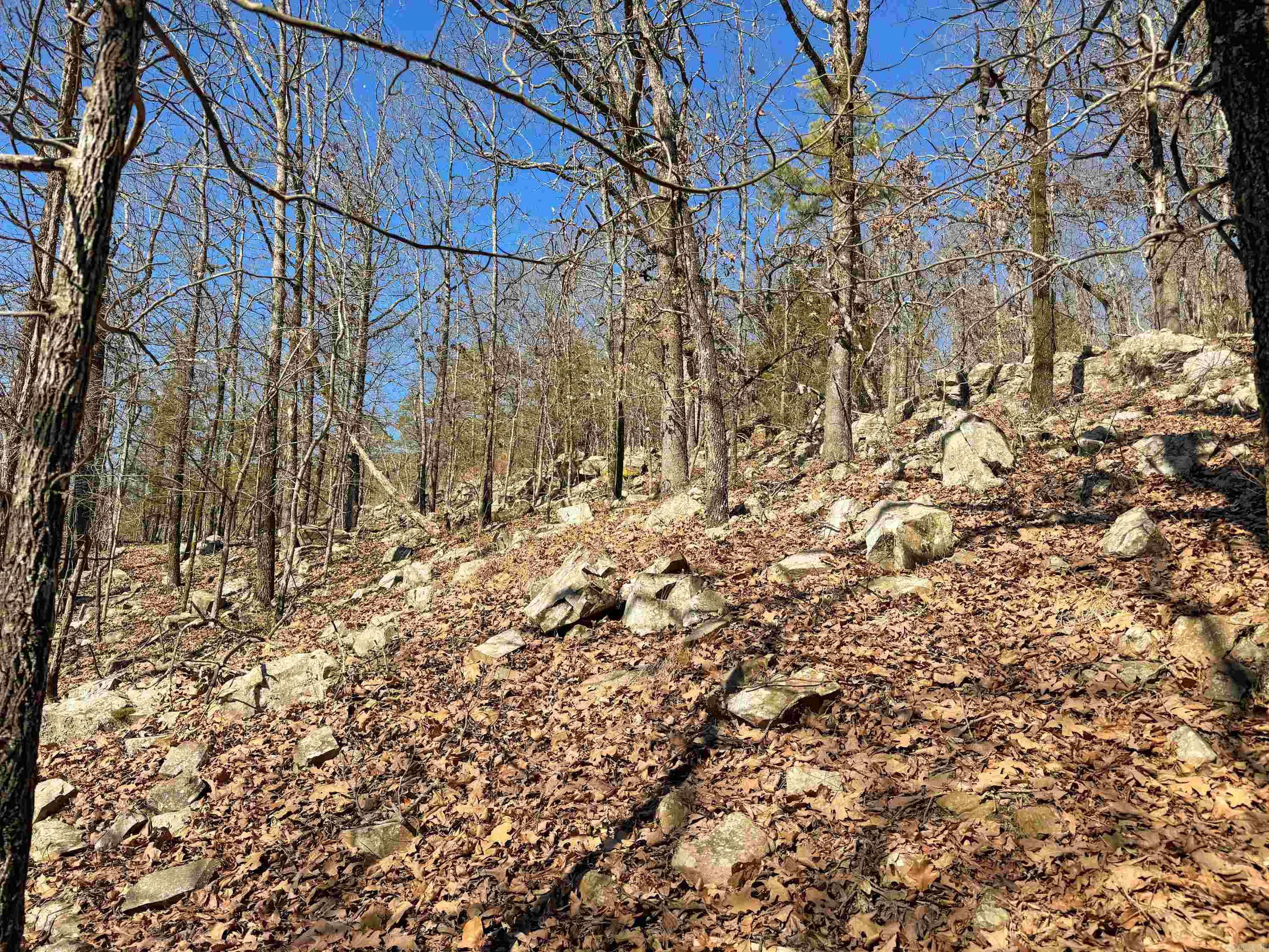 1  High Point  Mayflower, AR