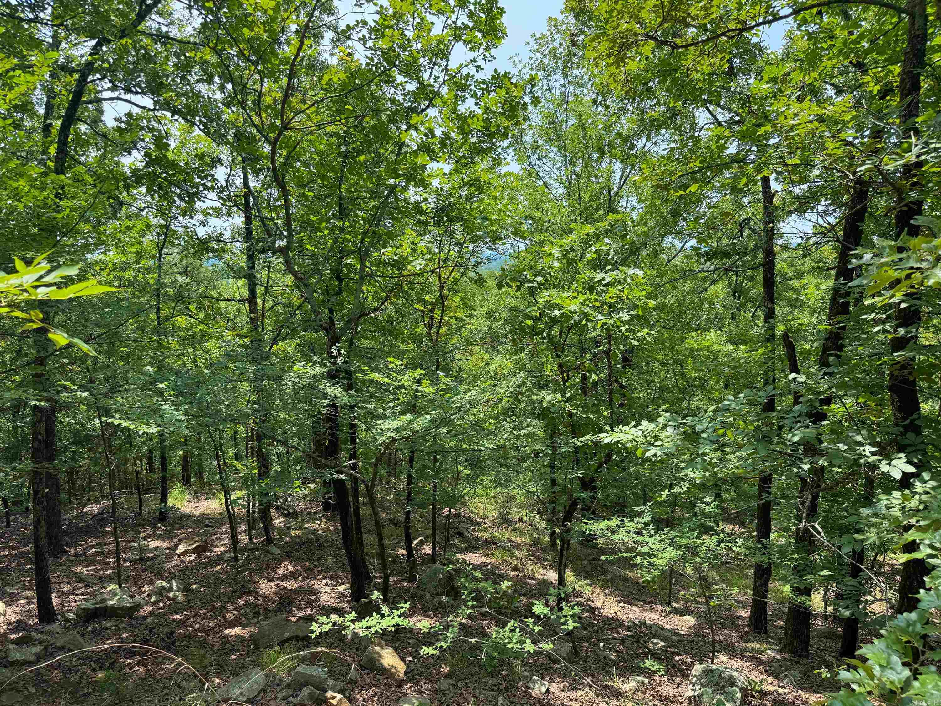 1  High Point  Mayflower, AR