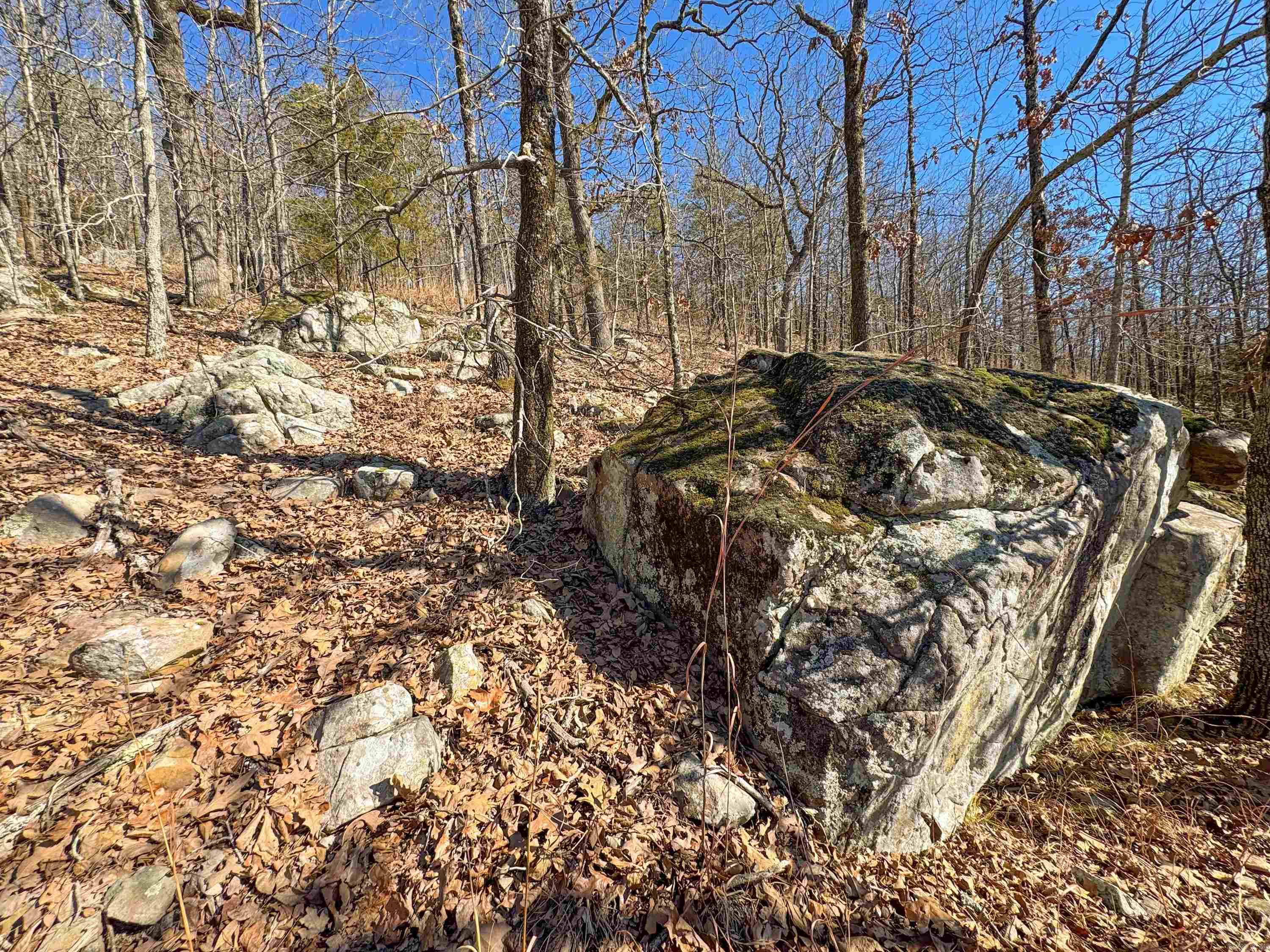 1  High Point  Mayflower, AR