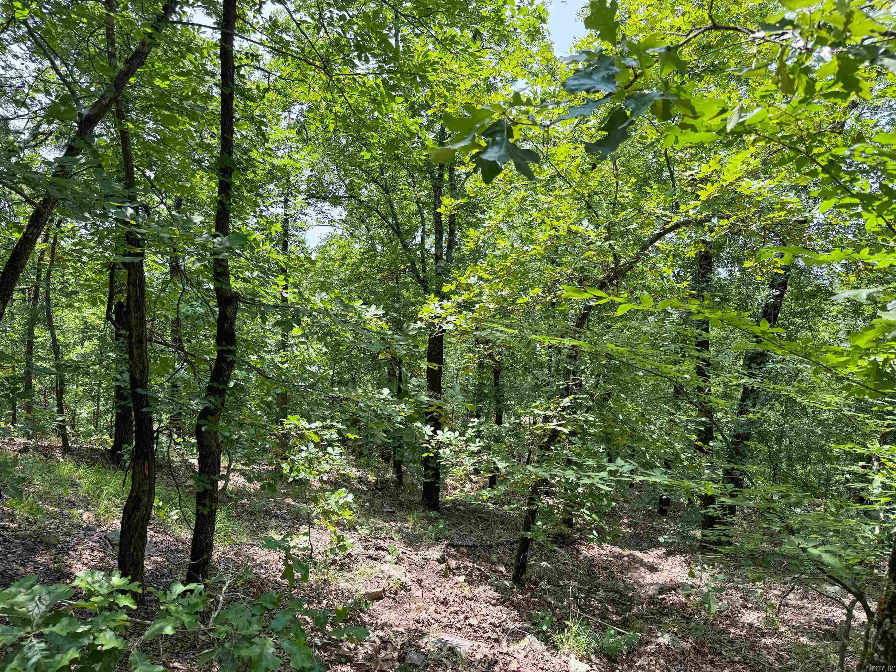 1  High Point  Mayflower, AR