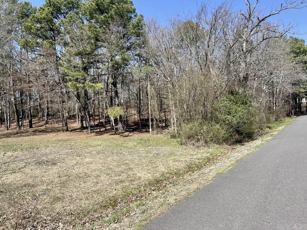   Beachview Cir  Hot Springs, AR