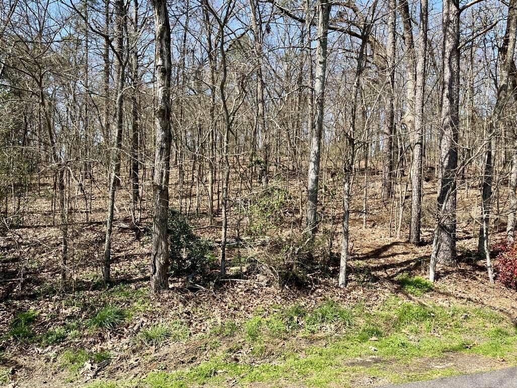   Beachview Cir  Hot Springs, AR