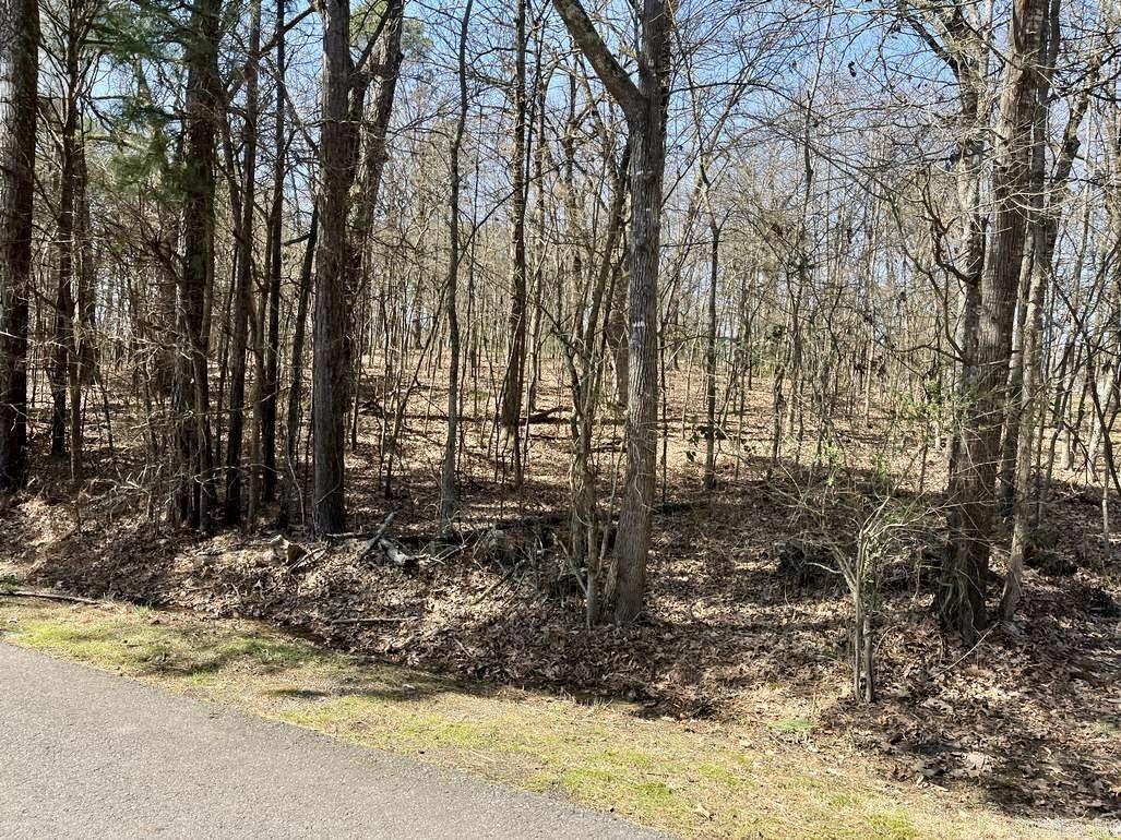   Beachview Cir  Hot Springs, AR