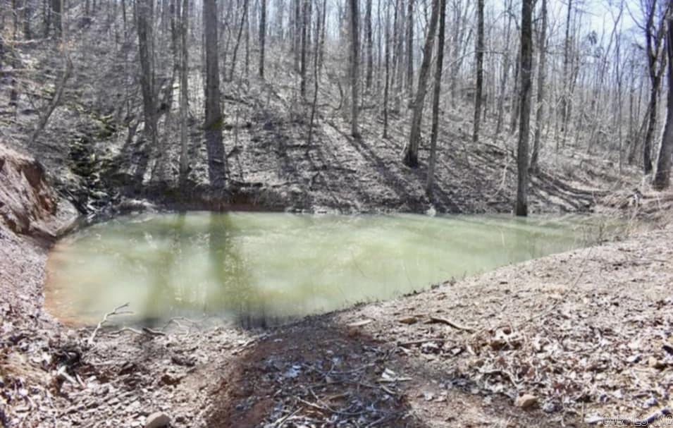 5867  County Road 4160  Ozark, AR