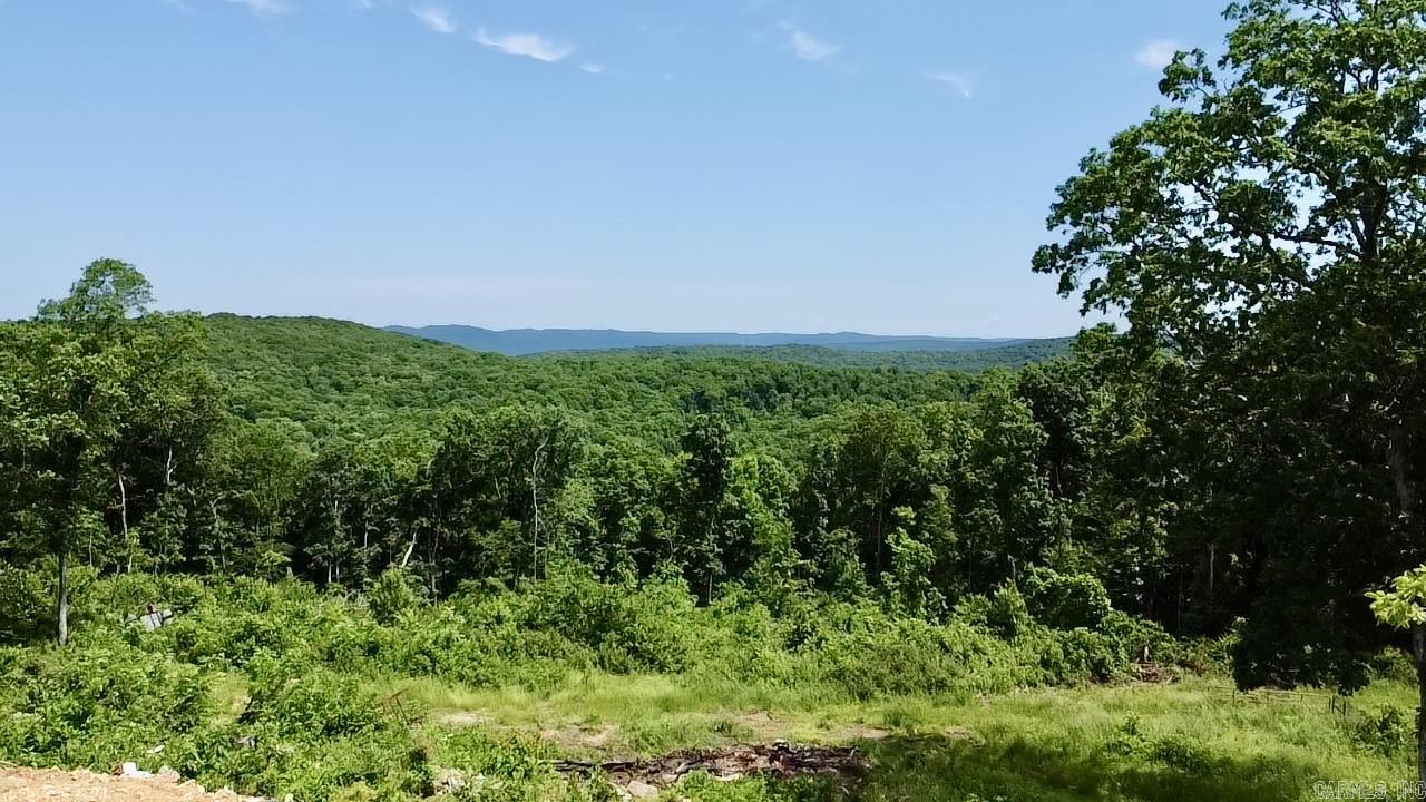 5867  County Road 4160  Ozark, AR