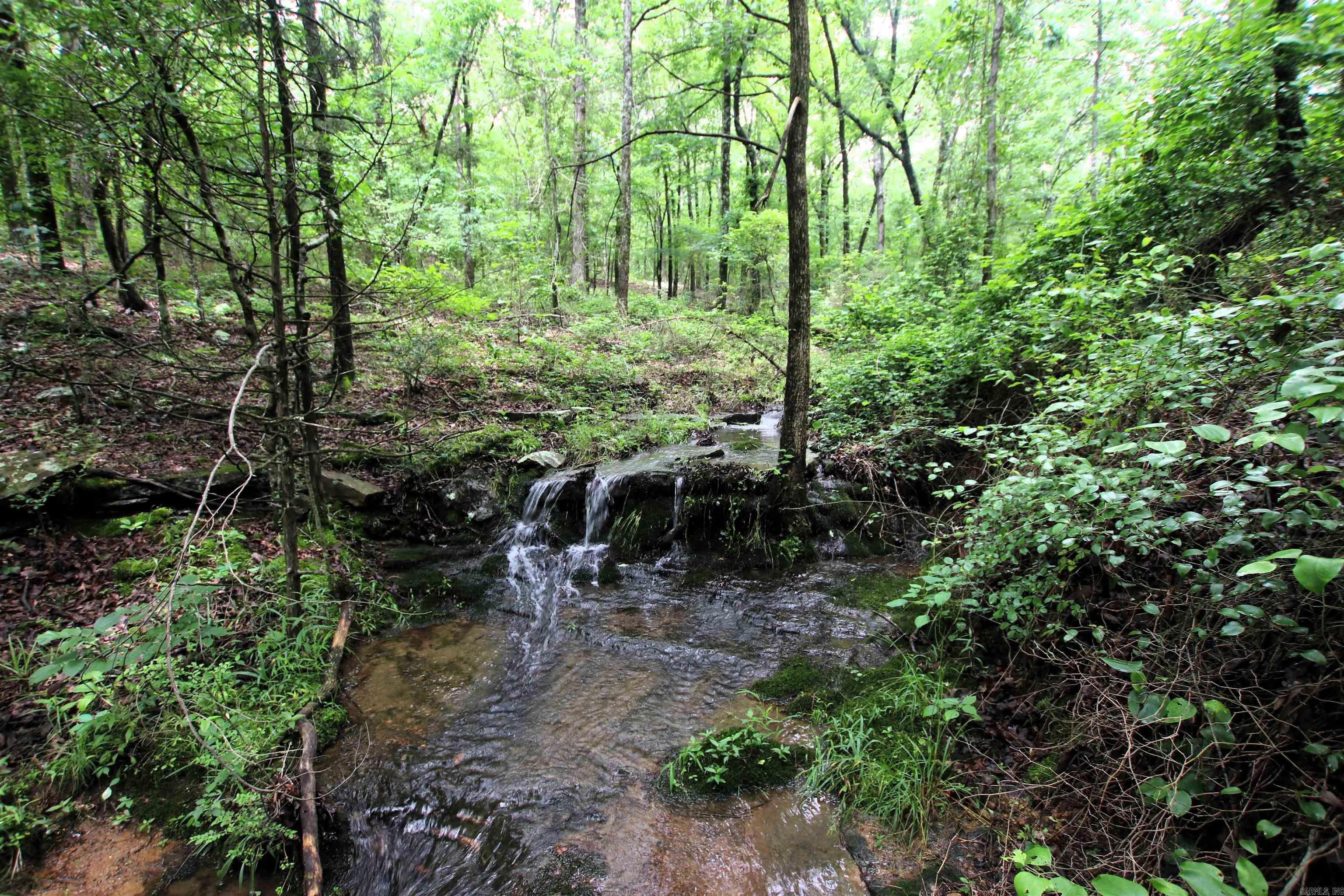 000  Merryman  Clinton, AR