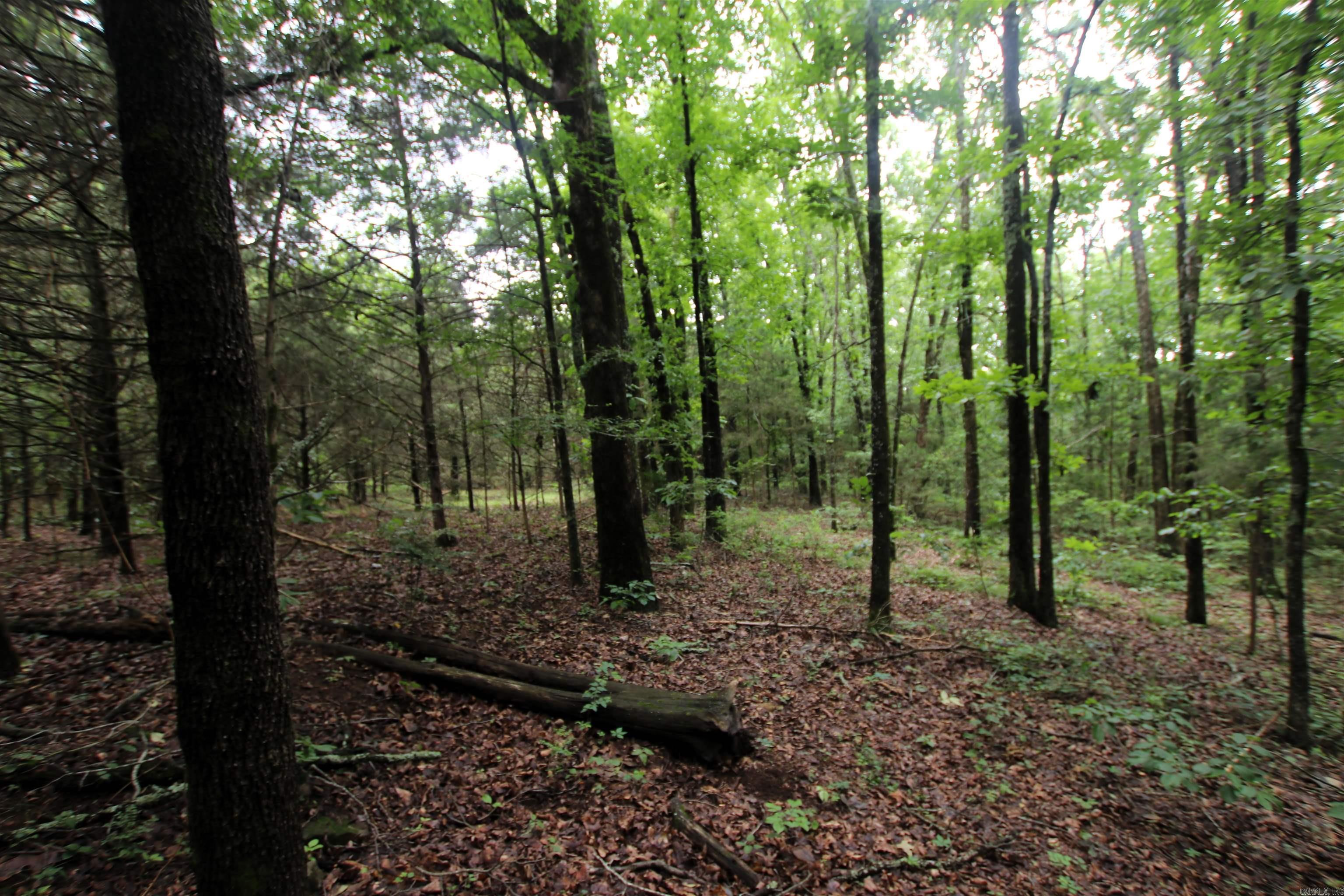 000  Merryman  Clinton, AR