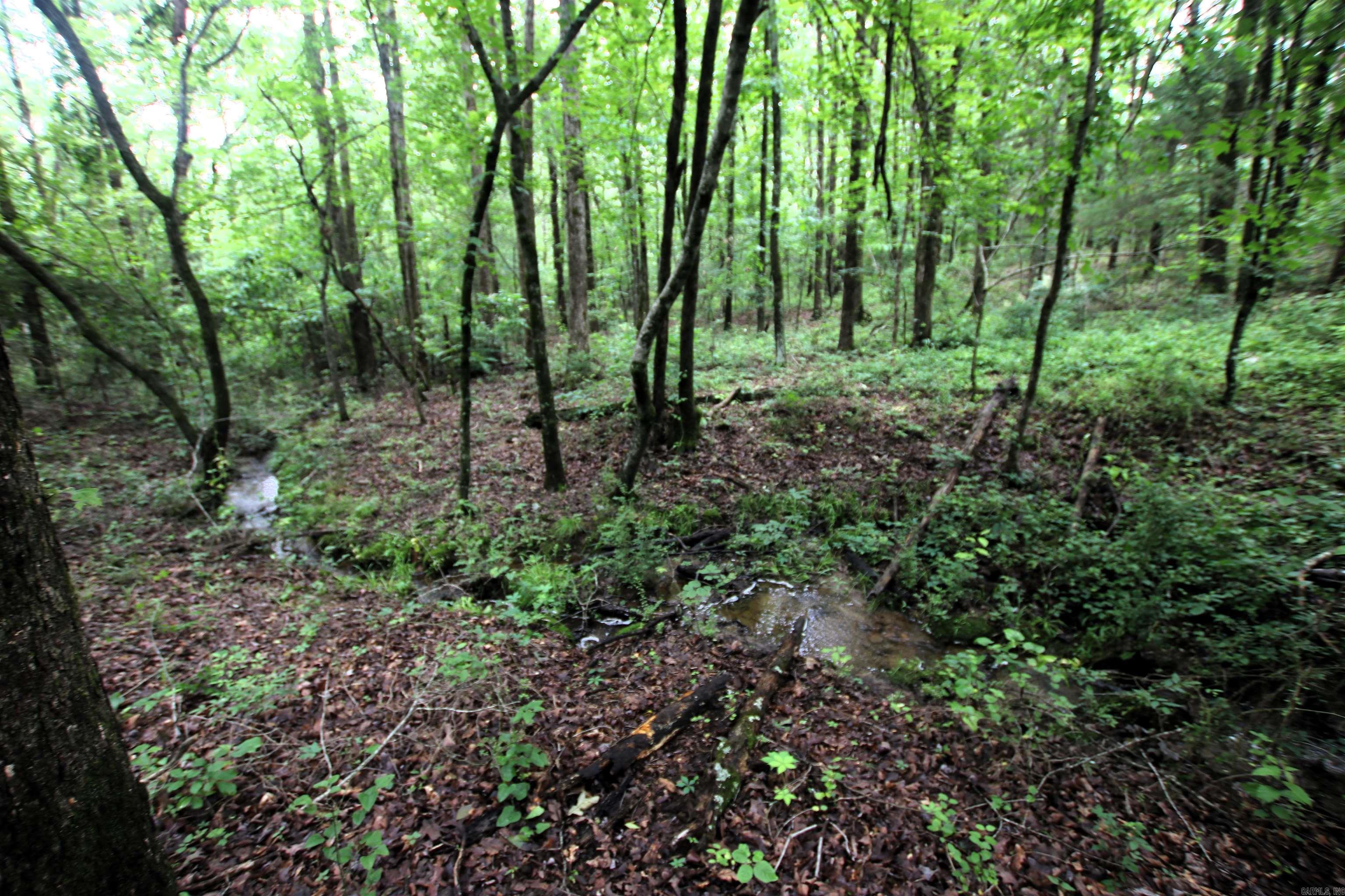 000  Merryman  Clinton, AR