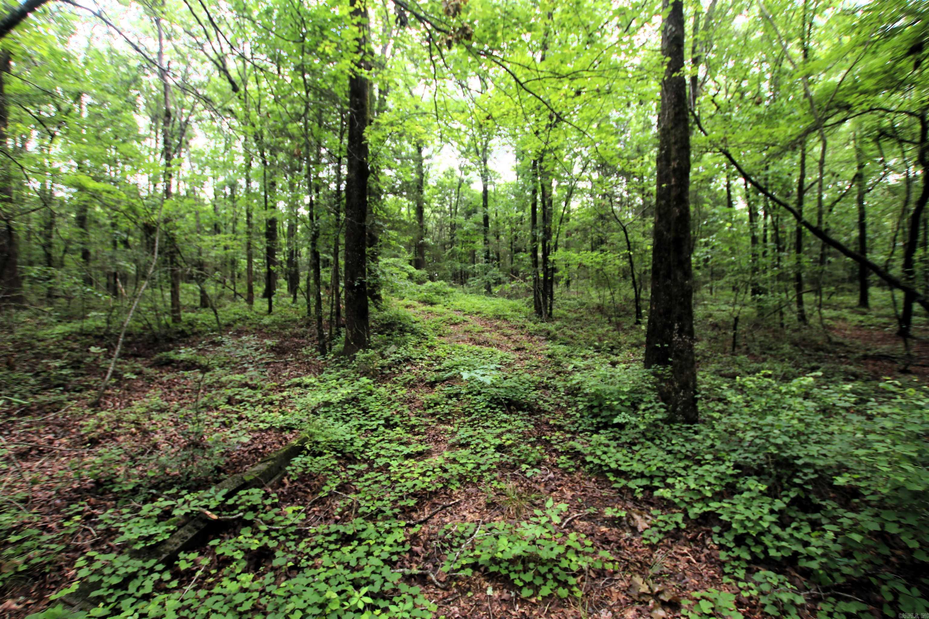000  Merryman  Clinton, AR