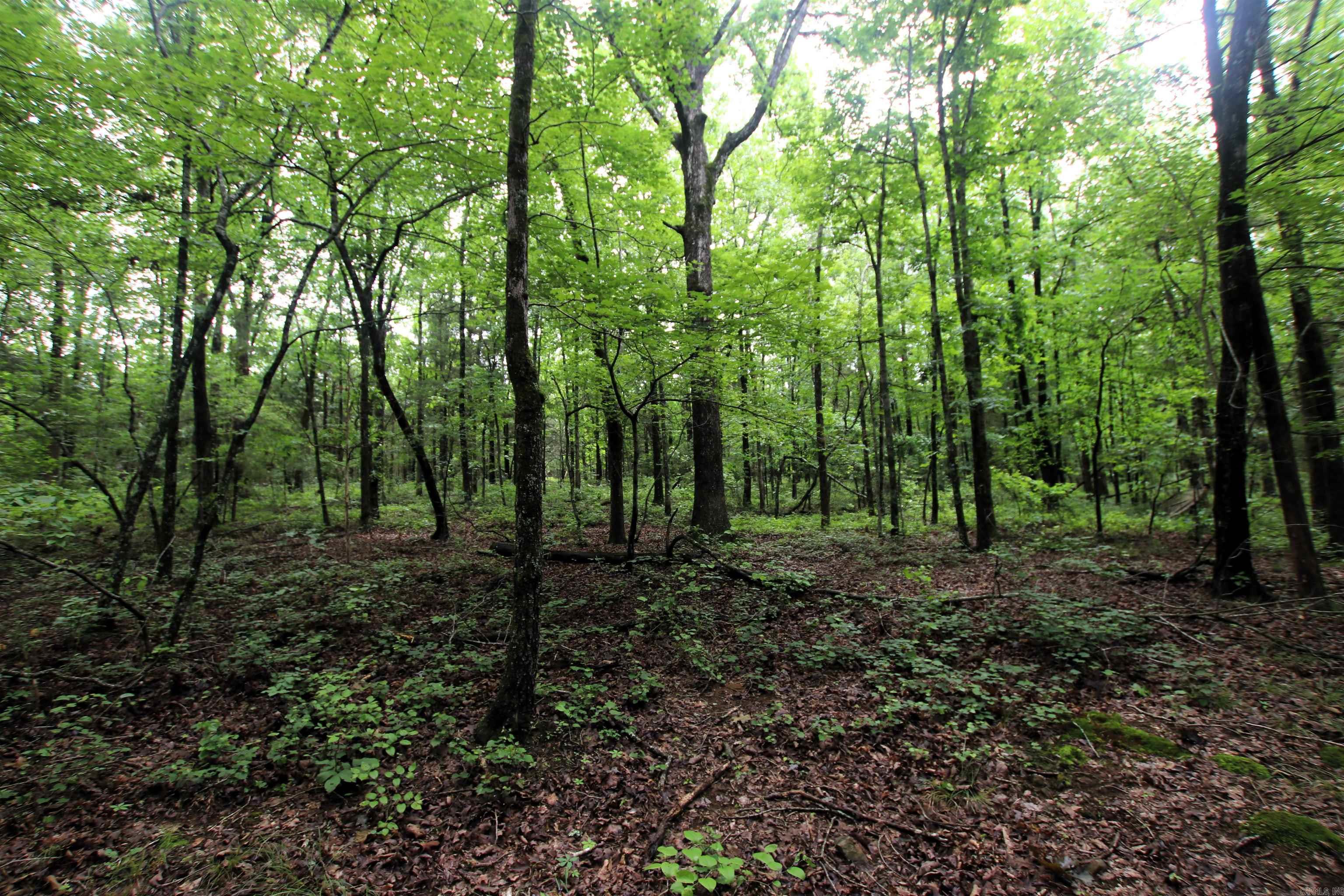 000  Merryman  Clinton, AR
