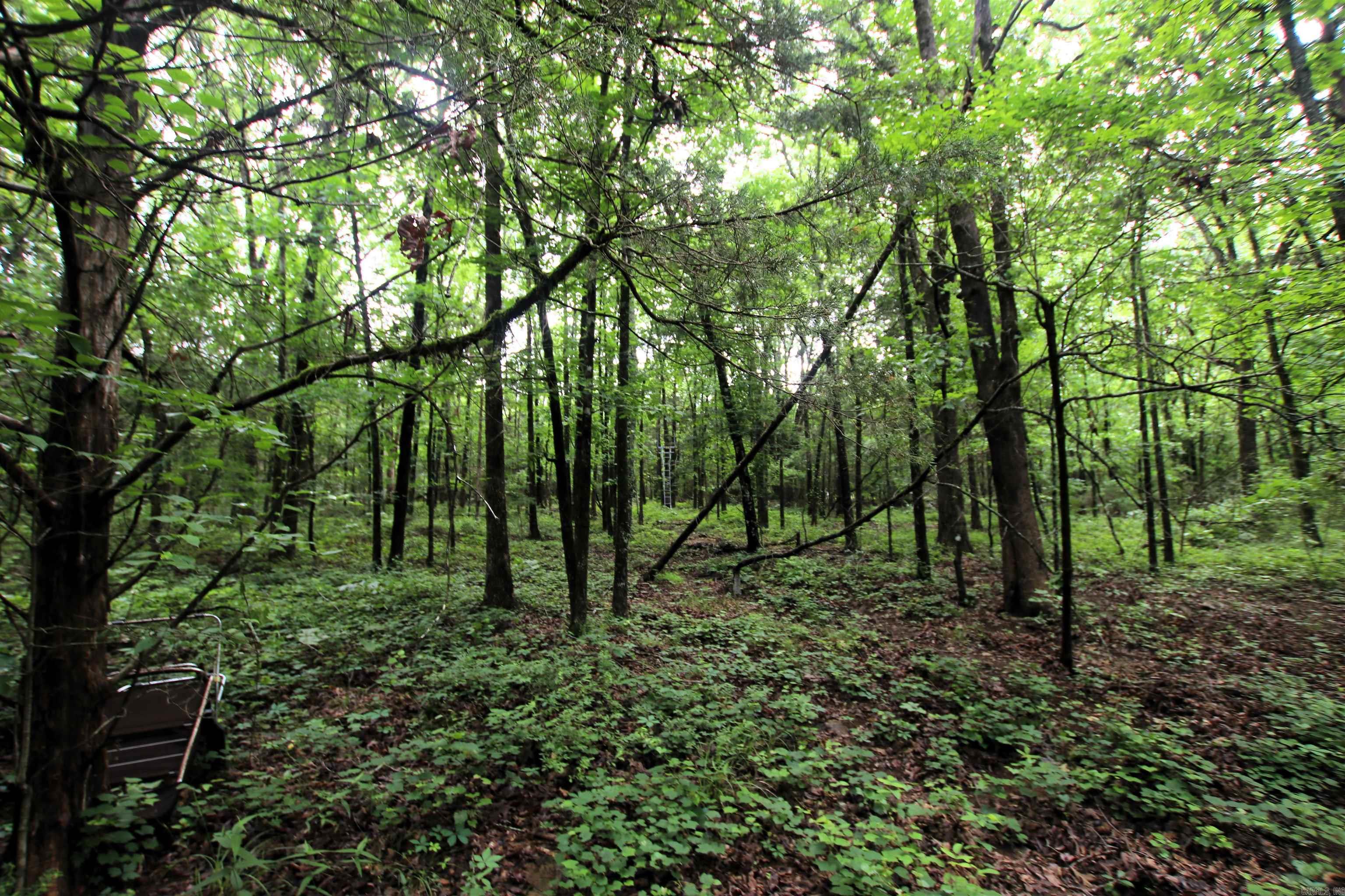 000  Merryman  Clinton, AR