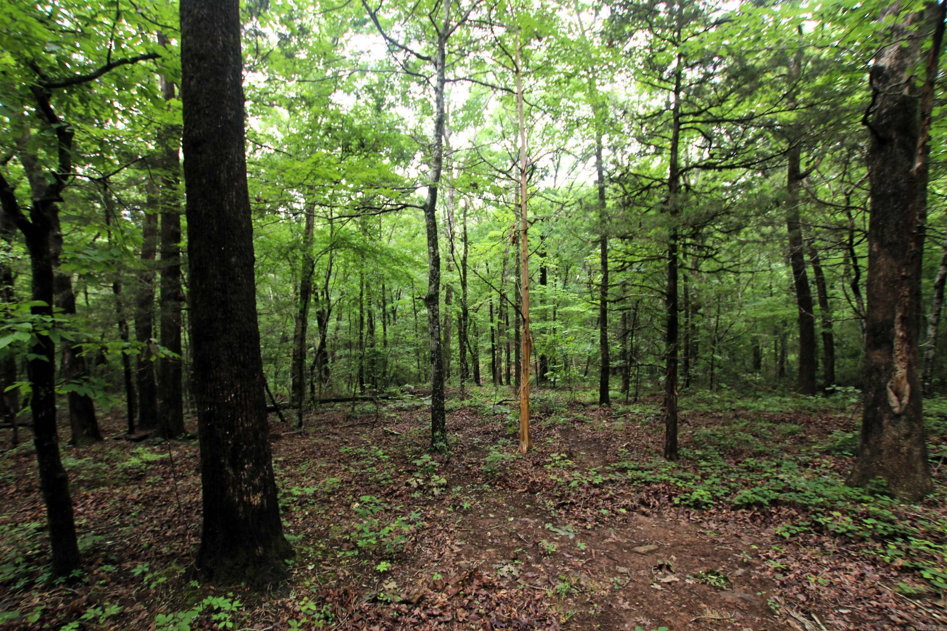 000  Merryman  Clinton, AR