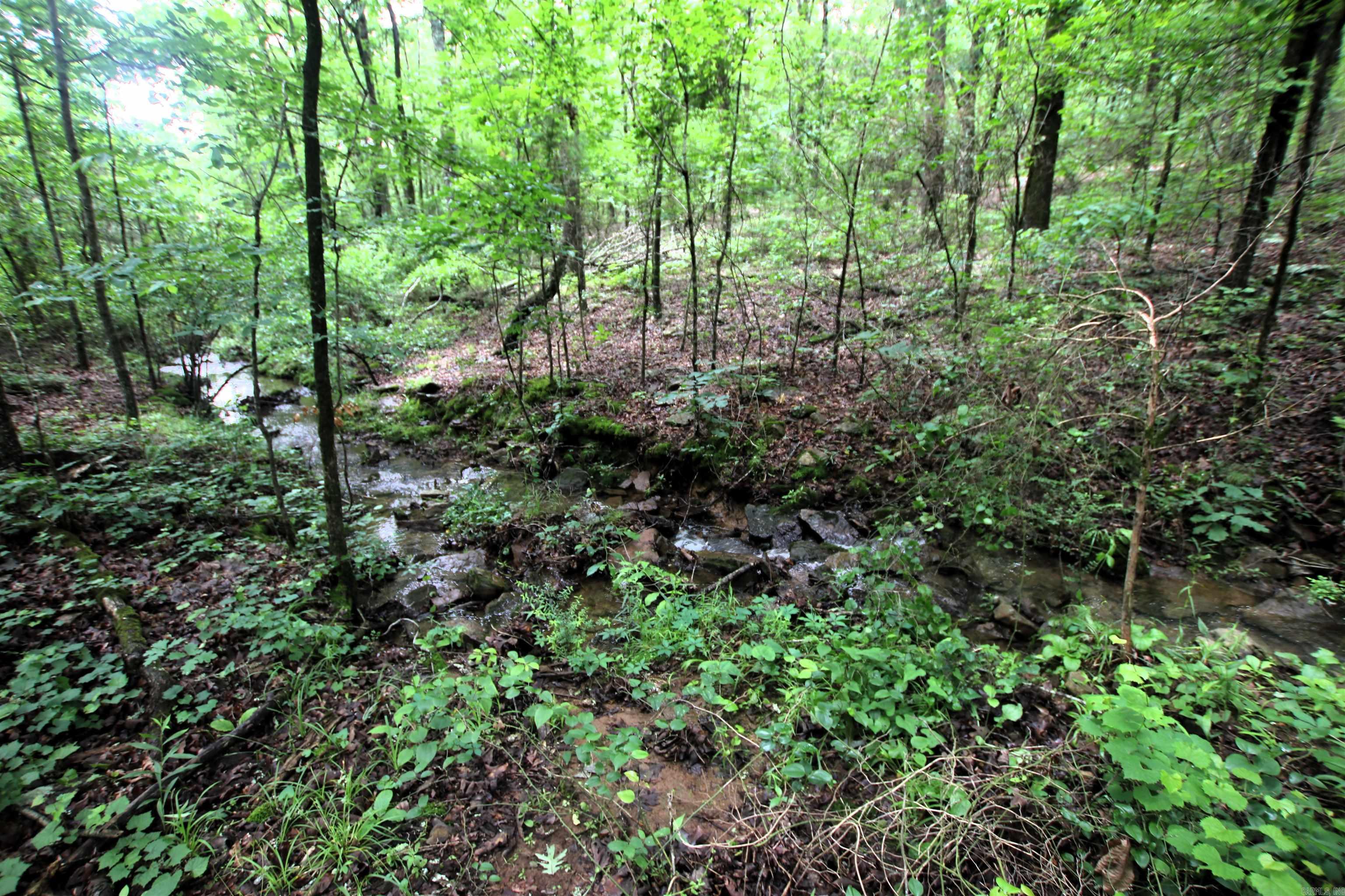 000  Merryman  Clinton, AR