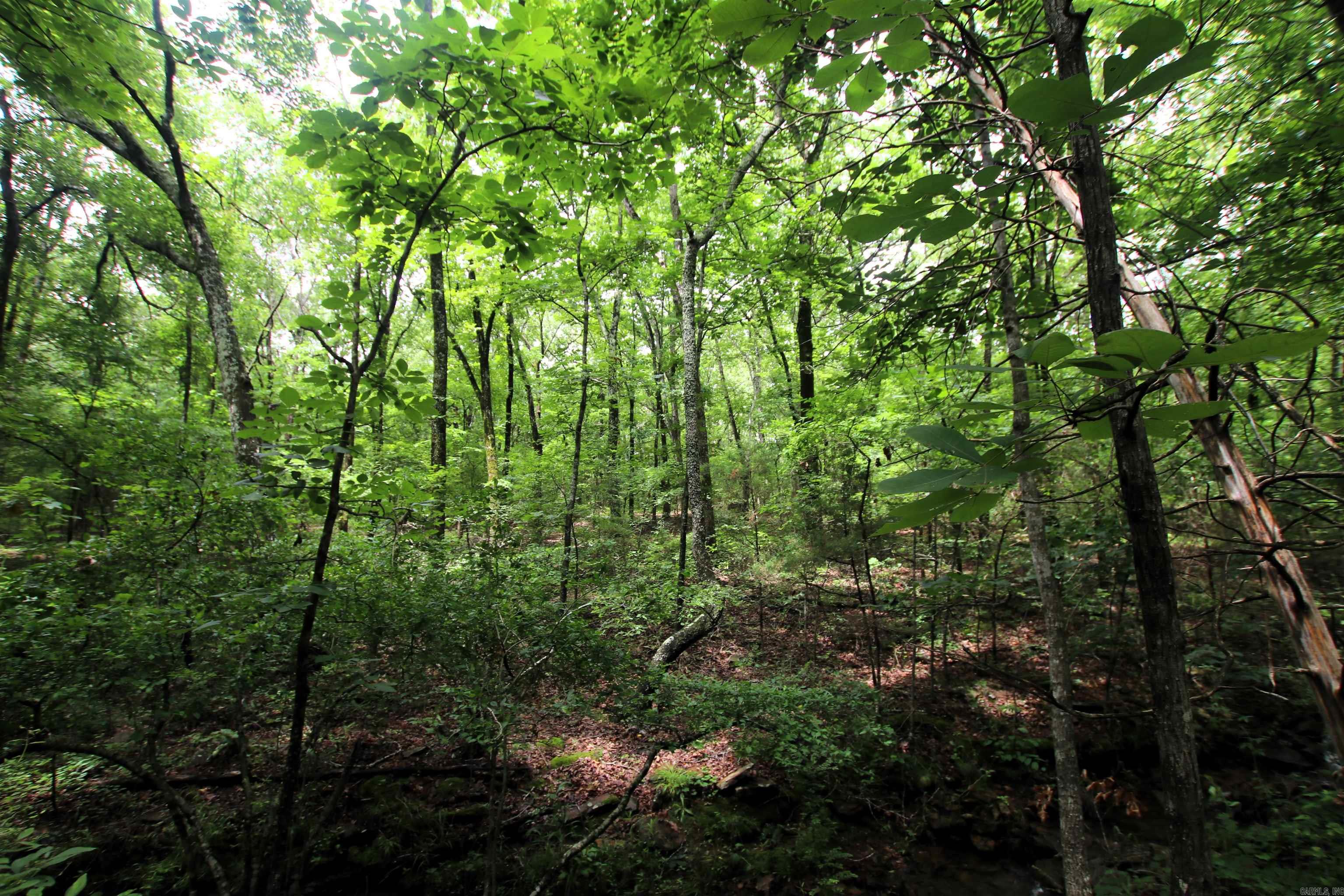 000  Merryman  Clinton, AR