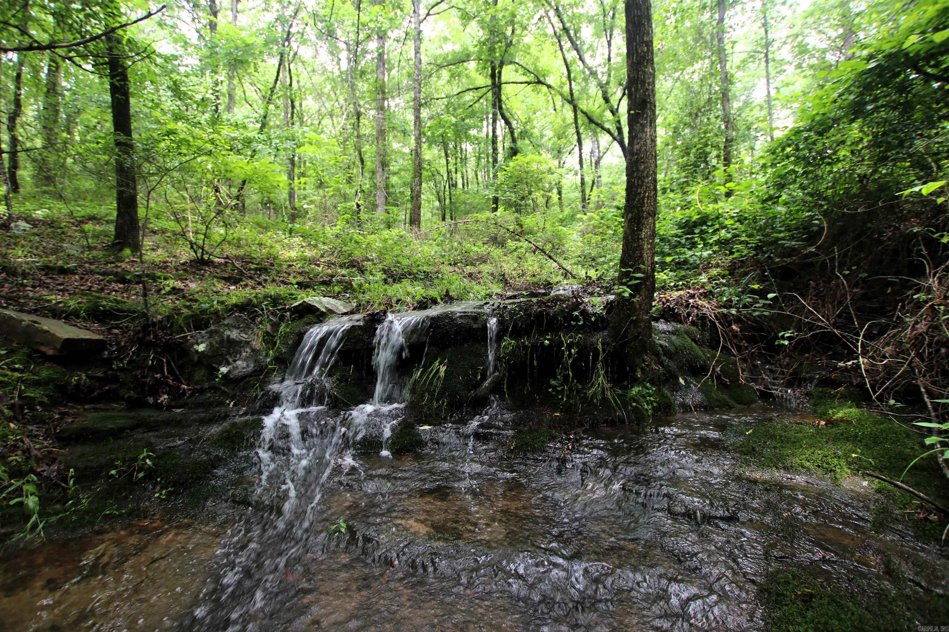 000  Merryman  Clinton, AR