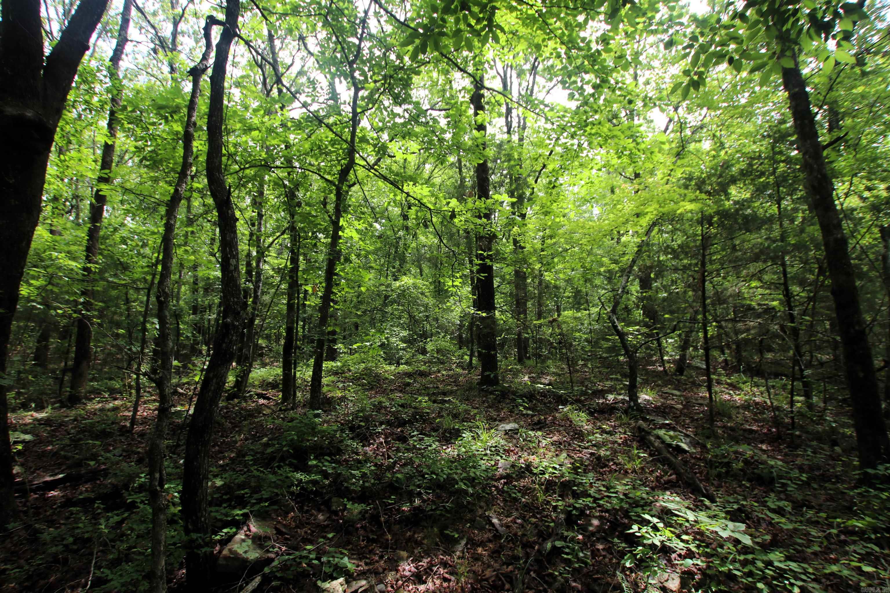000  Merryman  Clinton, AR
