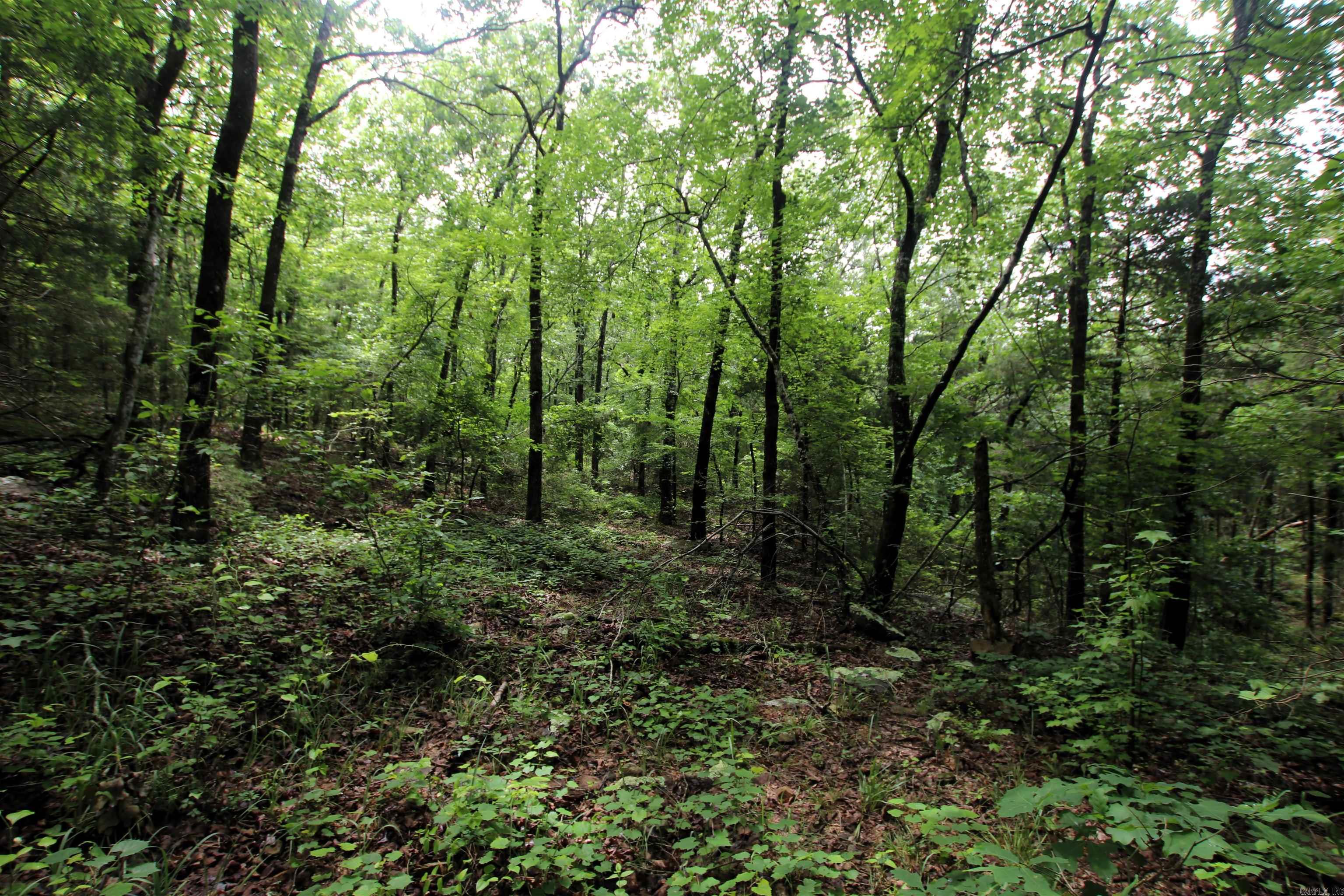 000  Merryman  Clinton, AR