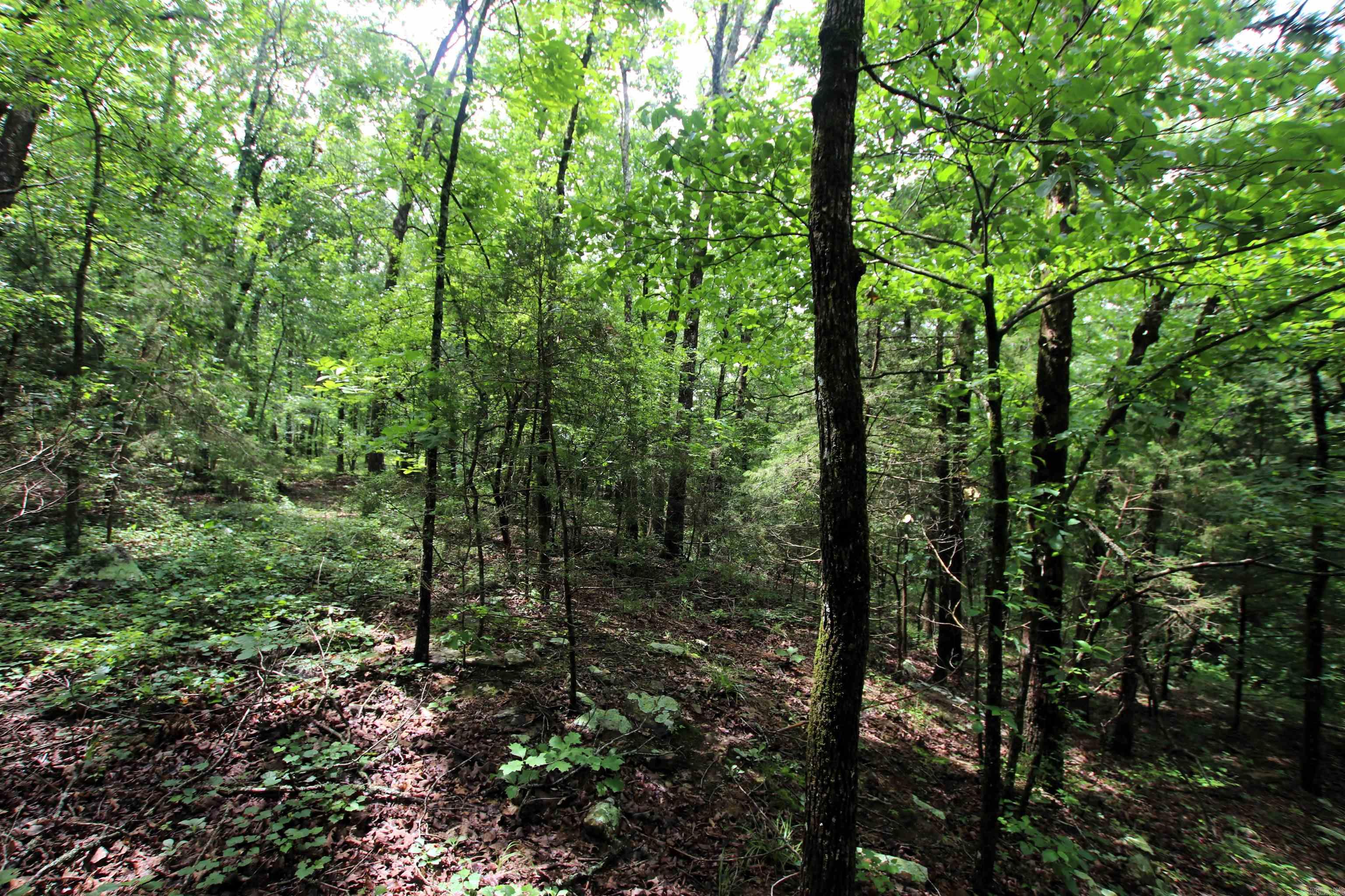 000  Merryman  Clinton, AR