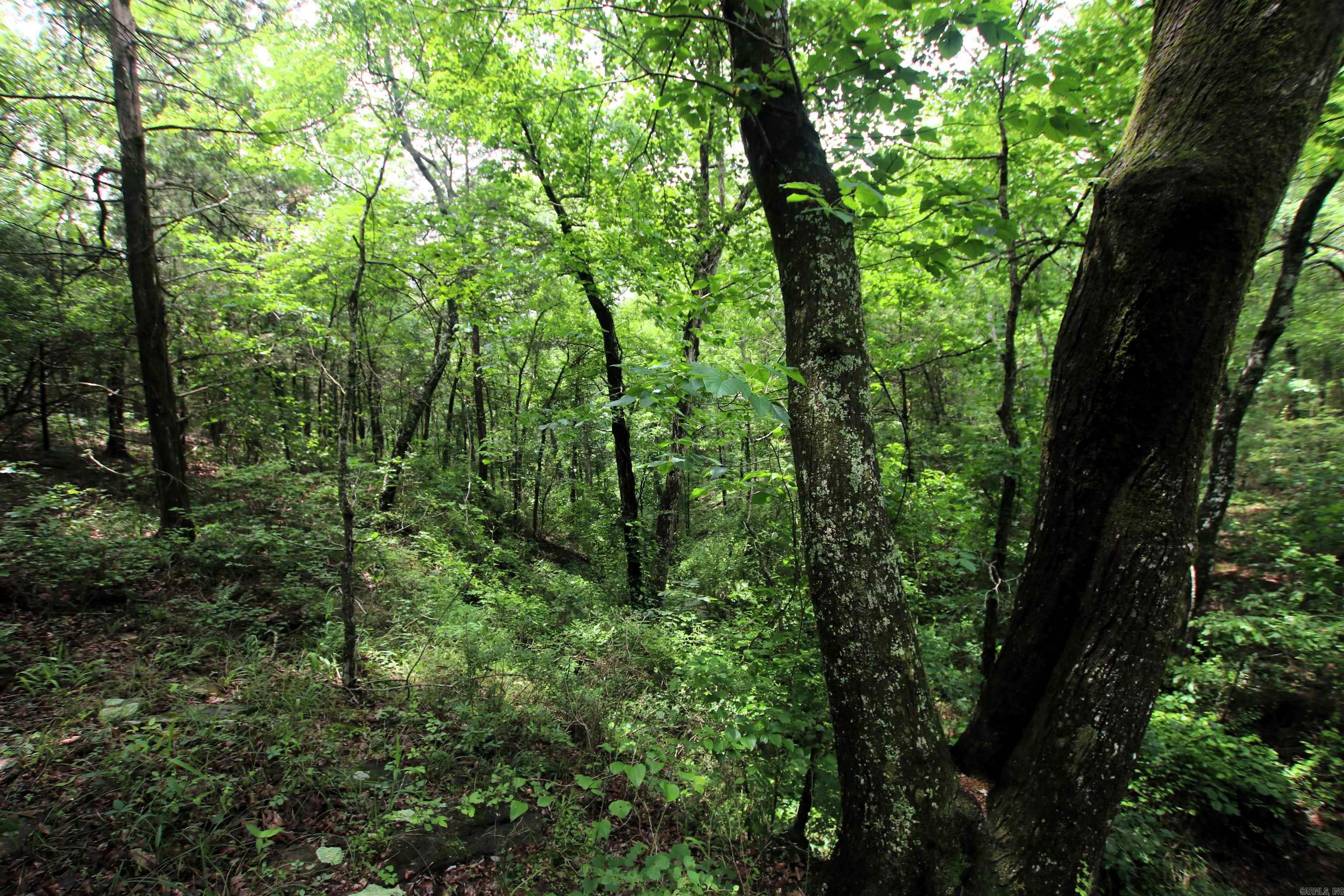 000  Merryman  Clinton, AR