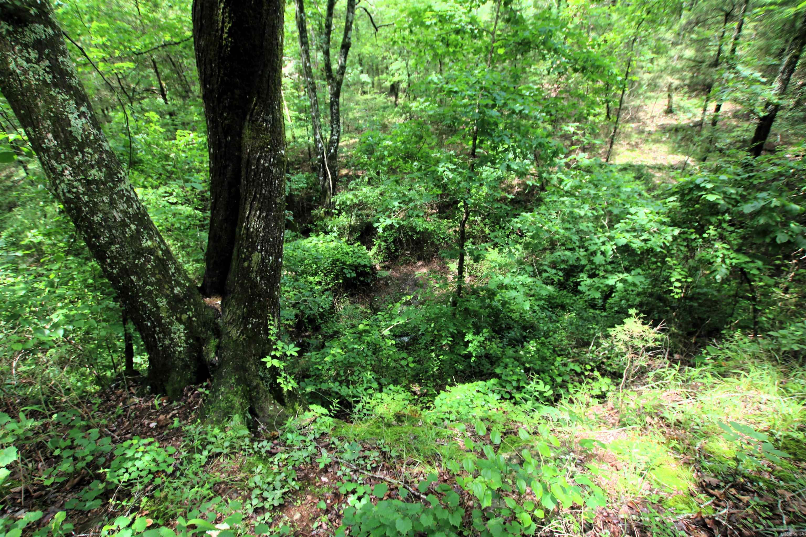 000  Merryman  Clinton, AR