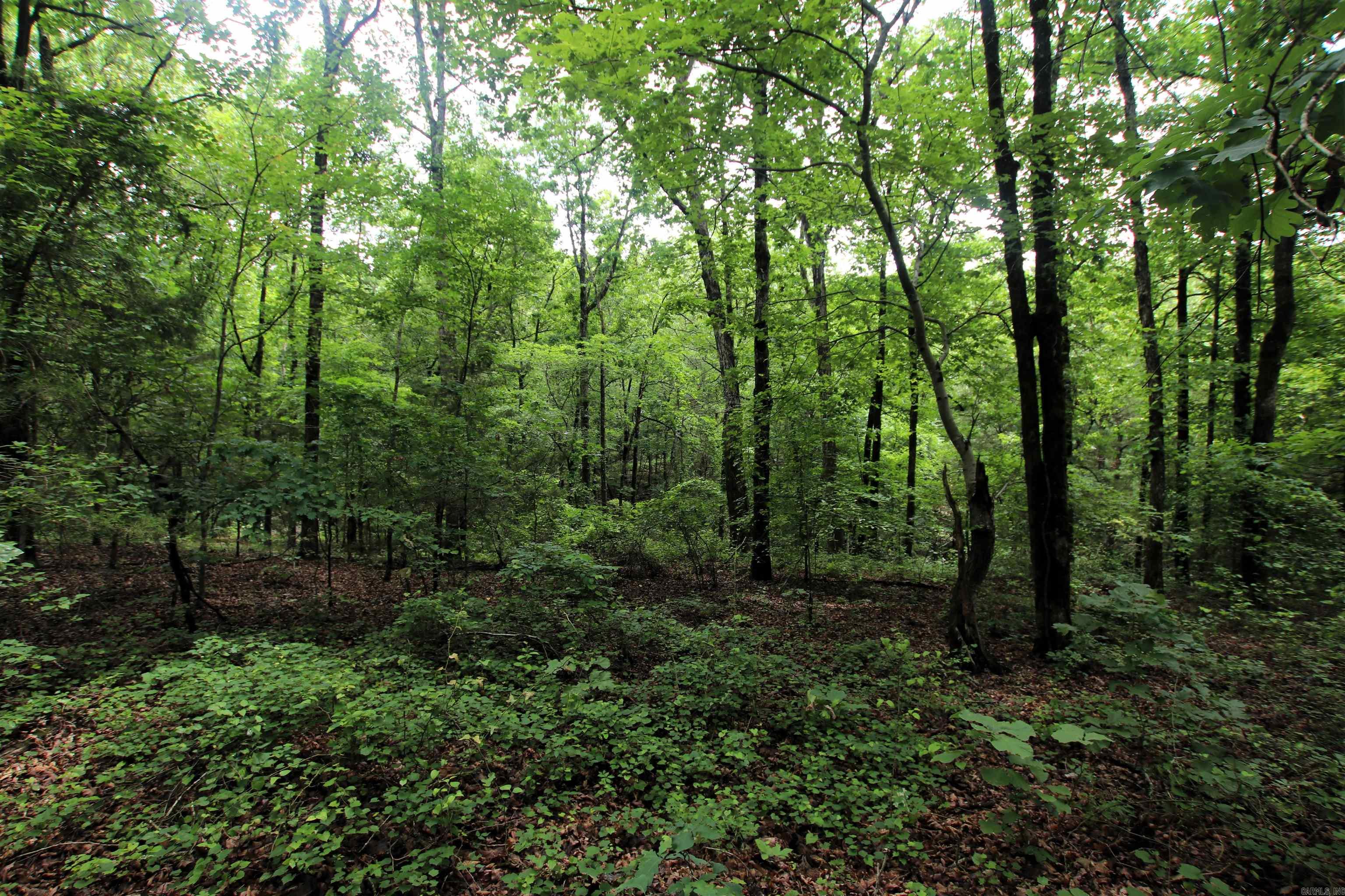 000  Merryman  Clinton, AR
