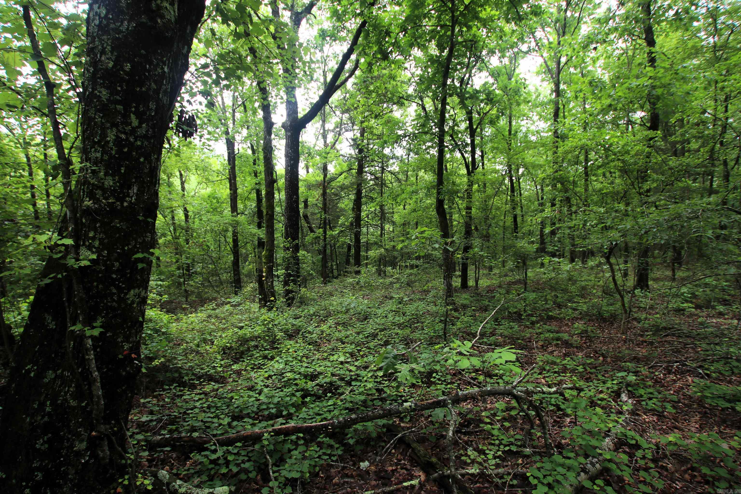 000  Merryman  Clinton, AR
