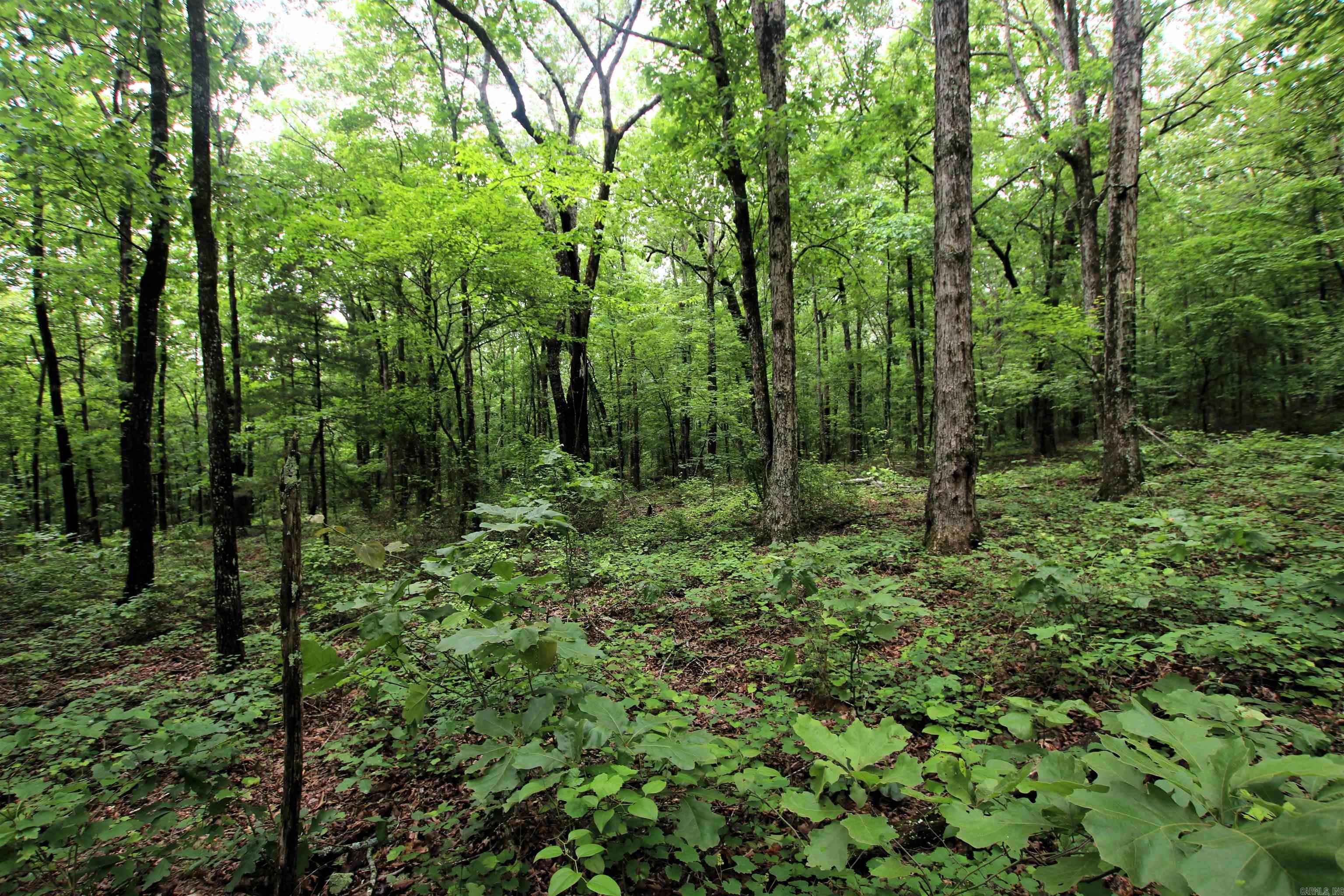 000  Merryman  Clinton, AR