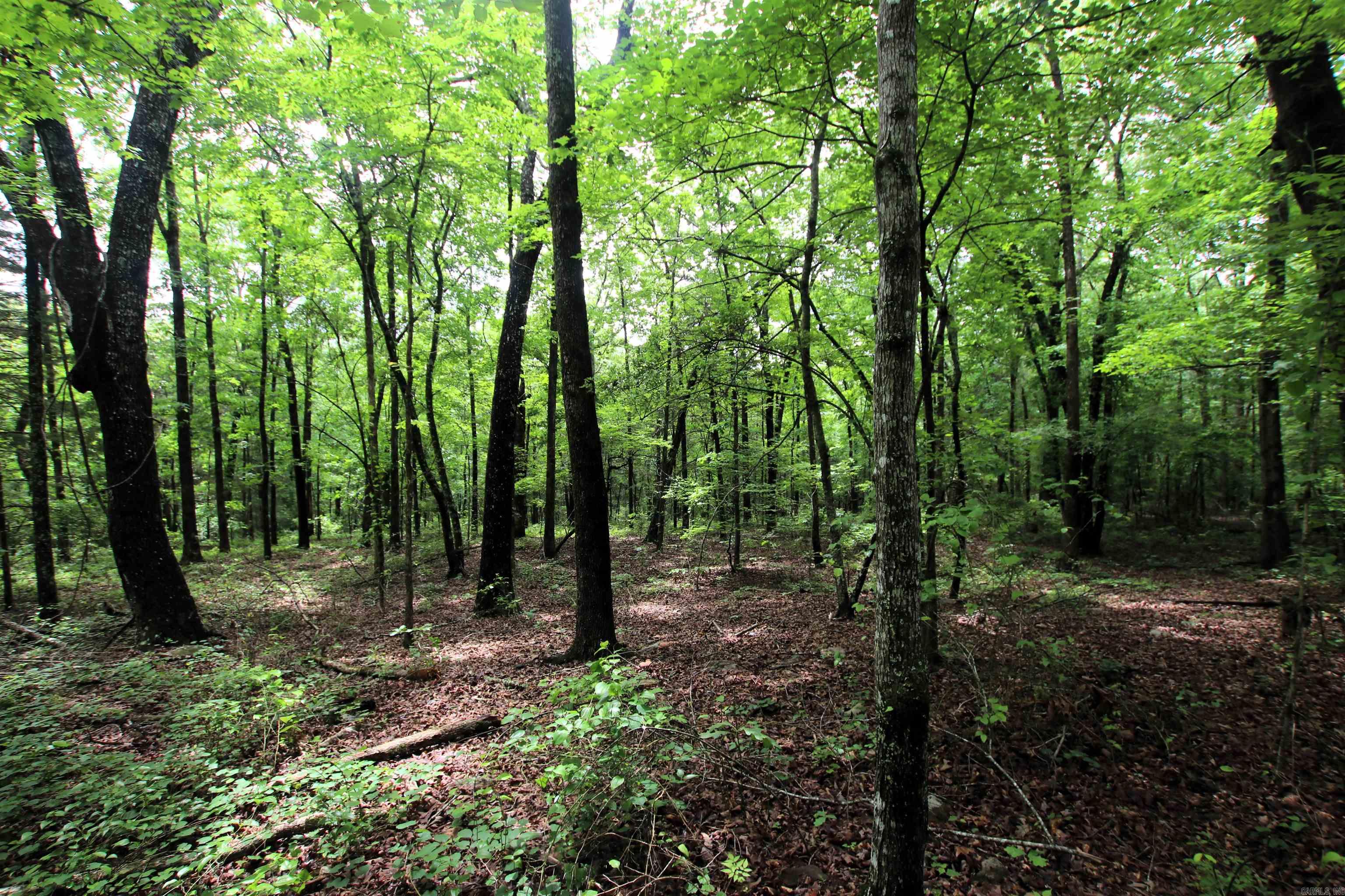 000  Merryman  Clinton, AR
