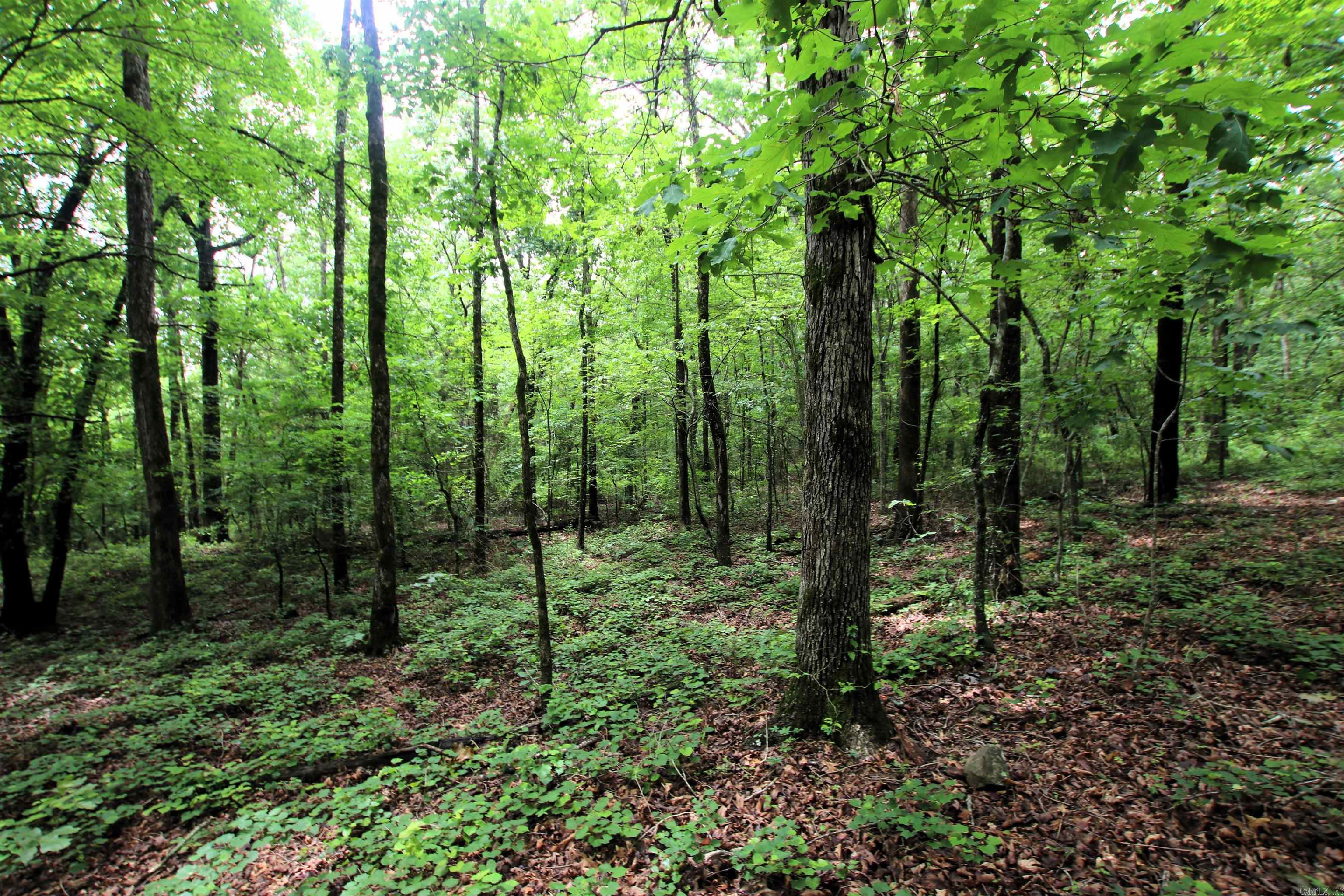 000  Merryman  Clinton, AR