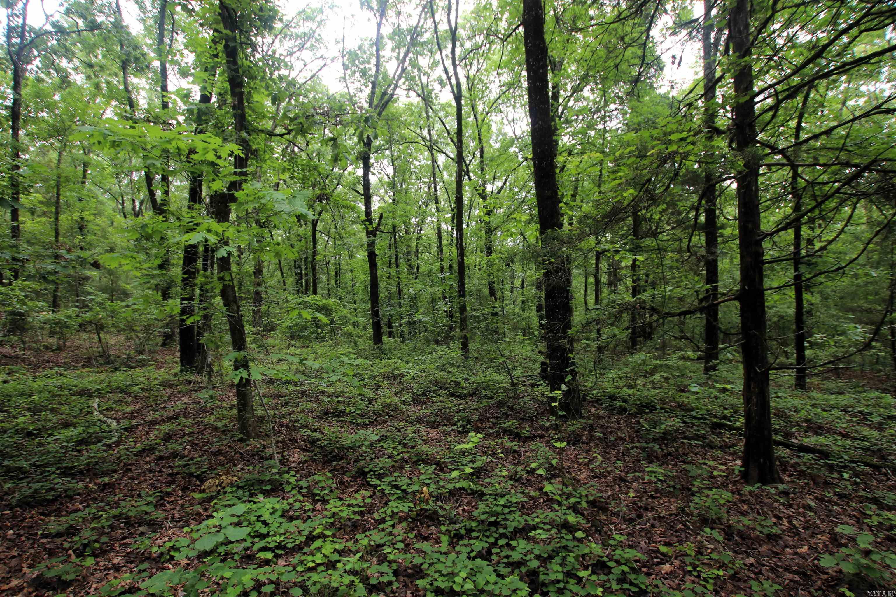000  Merryman  Clinton, AR