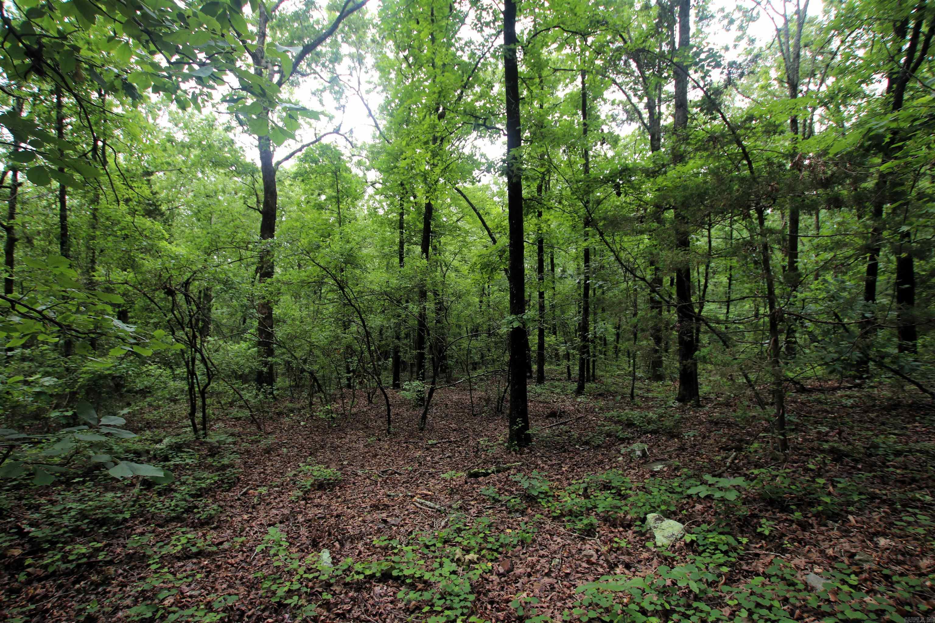000  Merryman  Clinton, AR