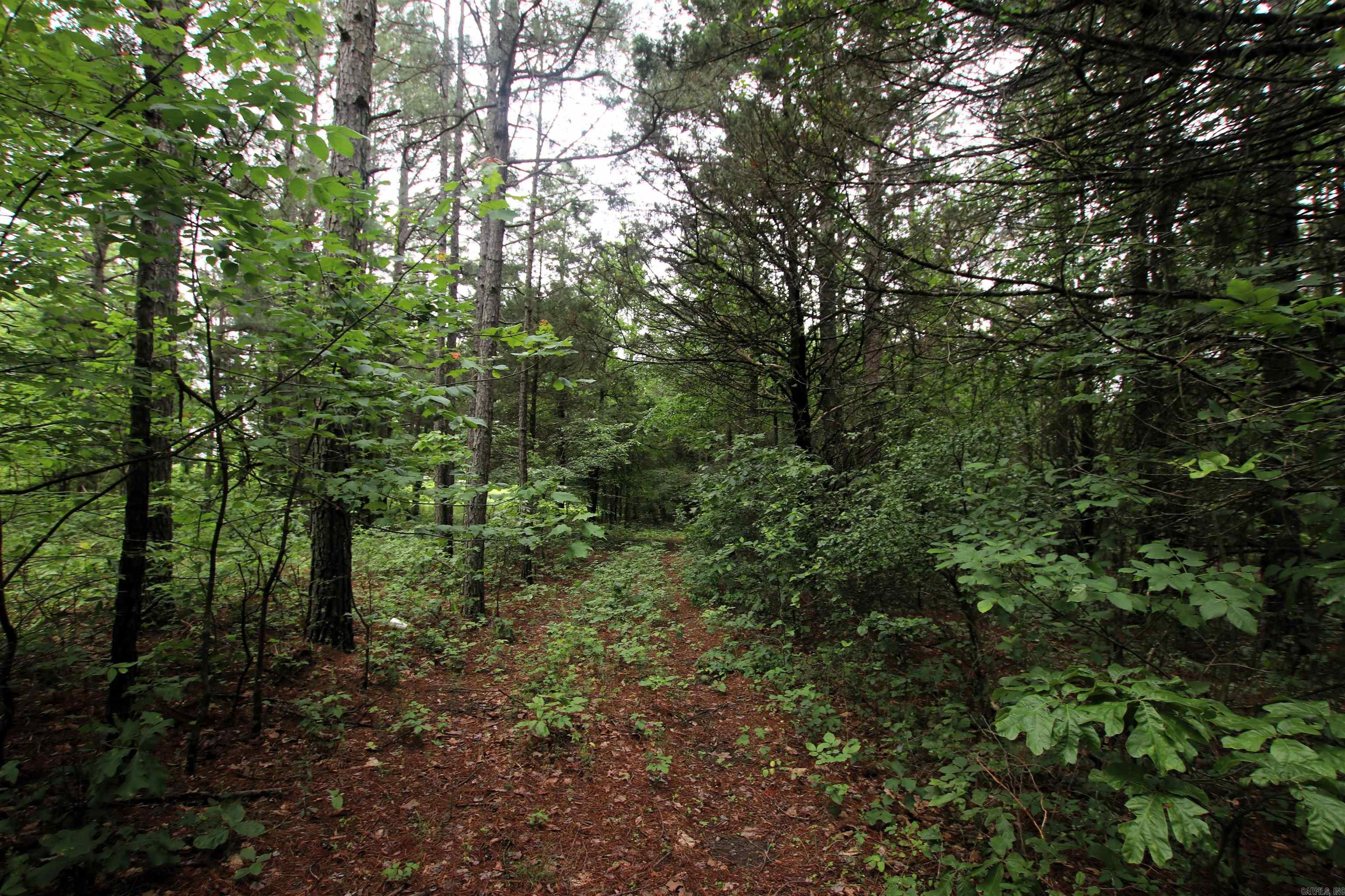 000  Merryman  Clinton, AR