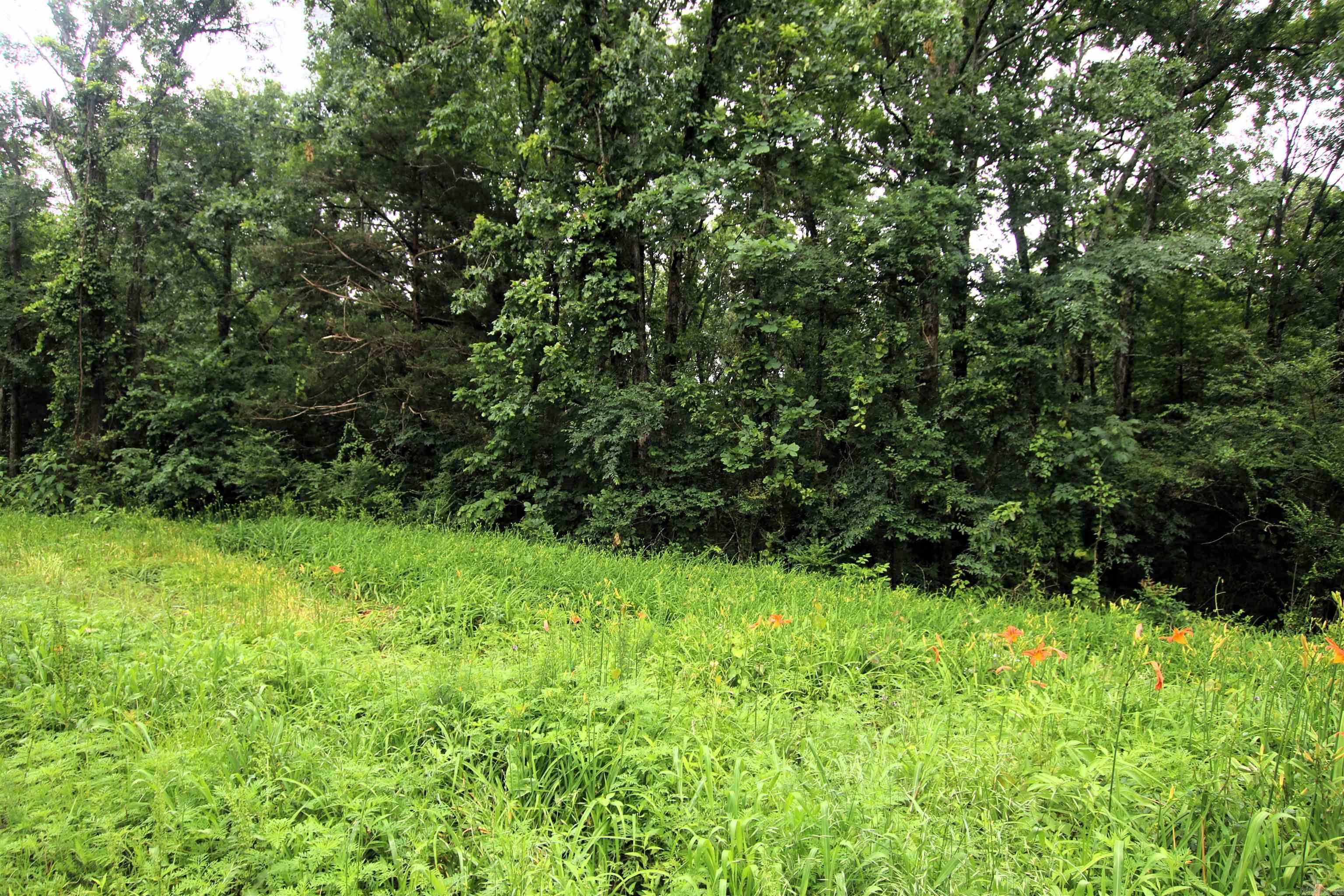 000  Merryman  Clinton, AR