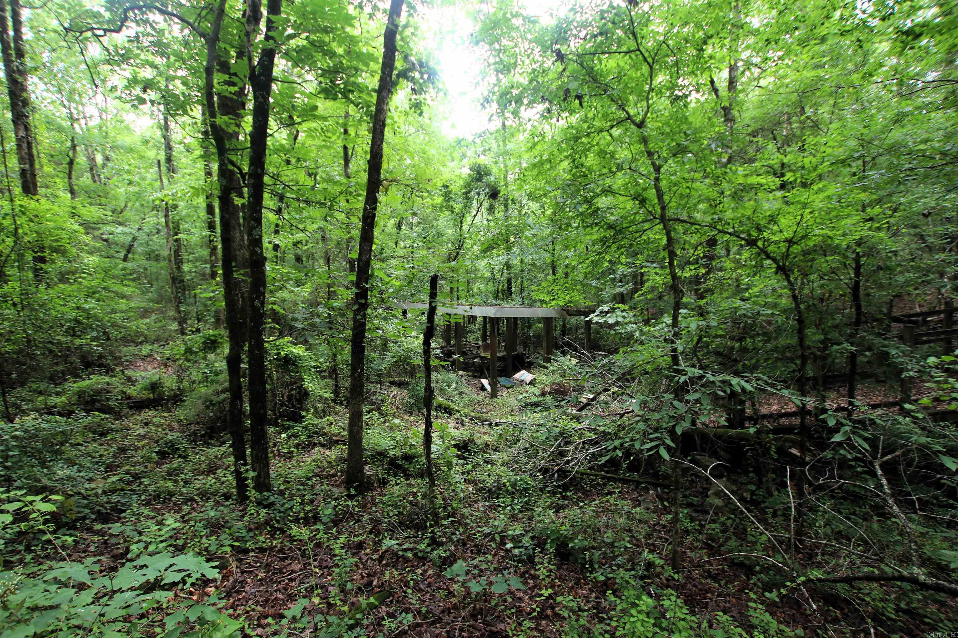 000  Merryman  Clinton, AR