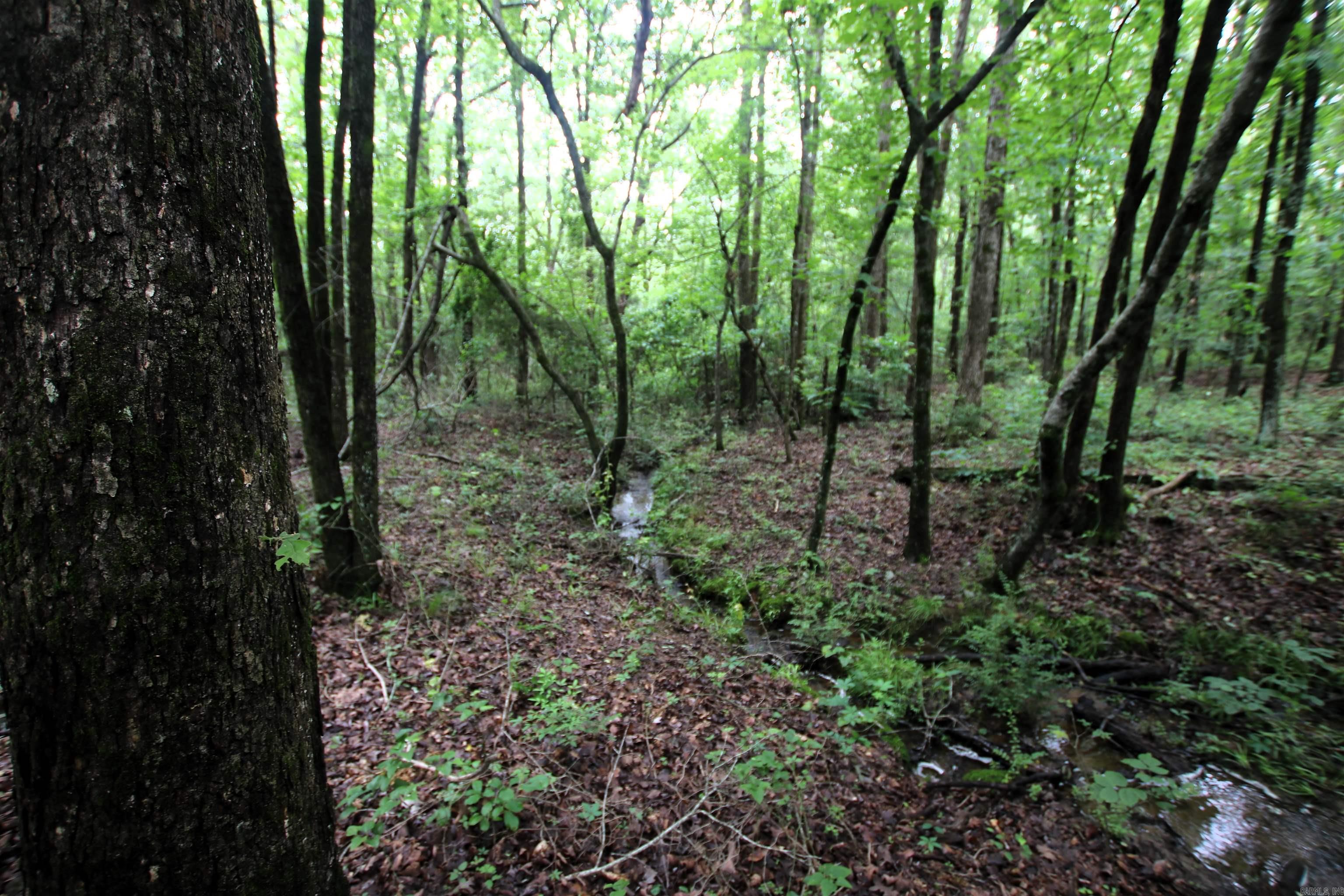 000  Merryman  Clinton, AR