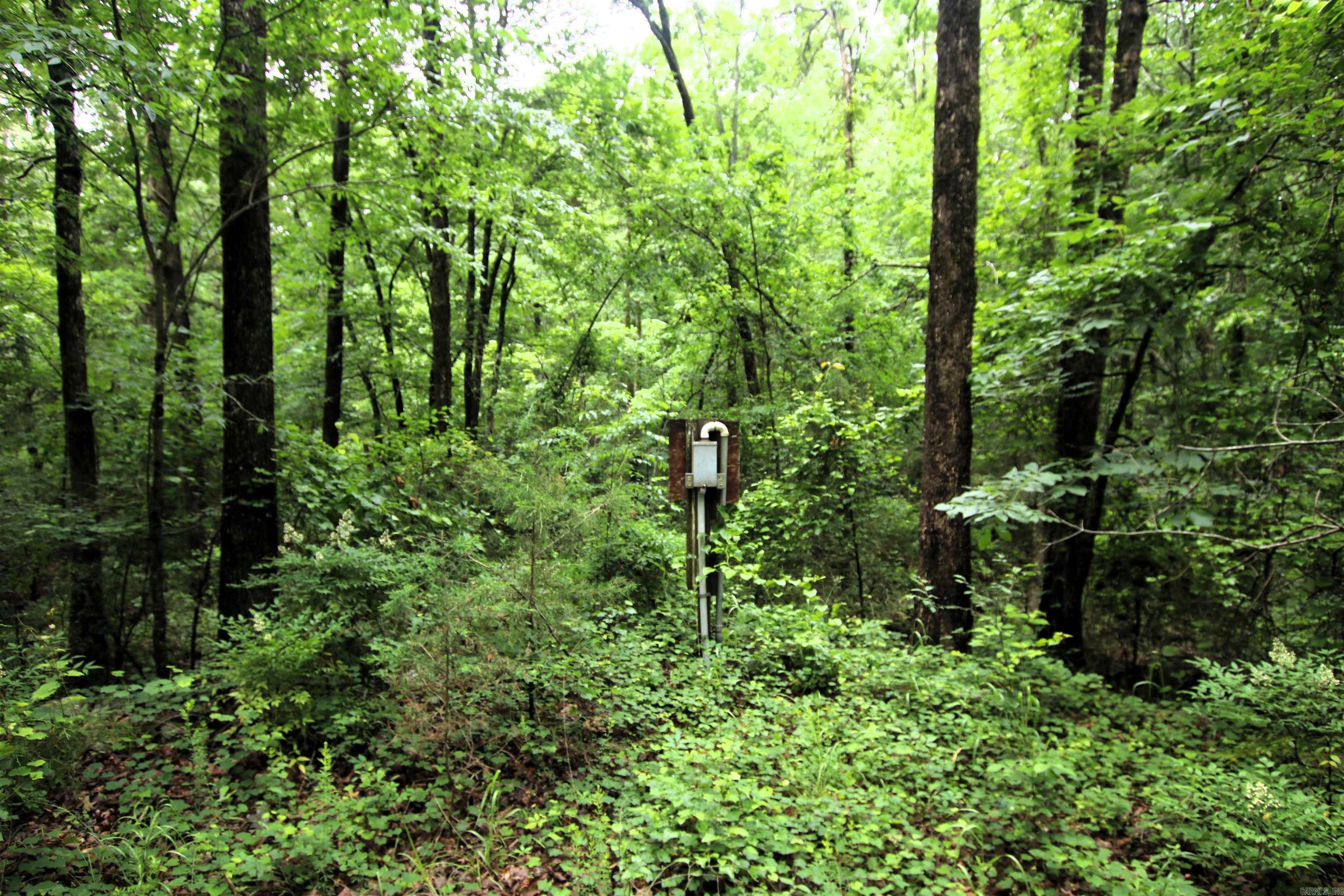 000  Merryman  Clinton, AR