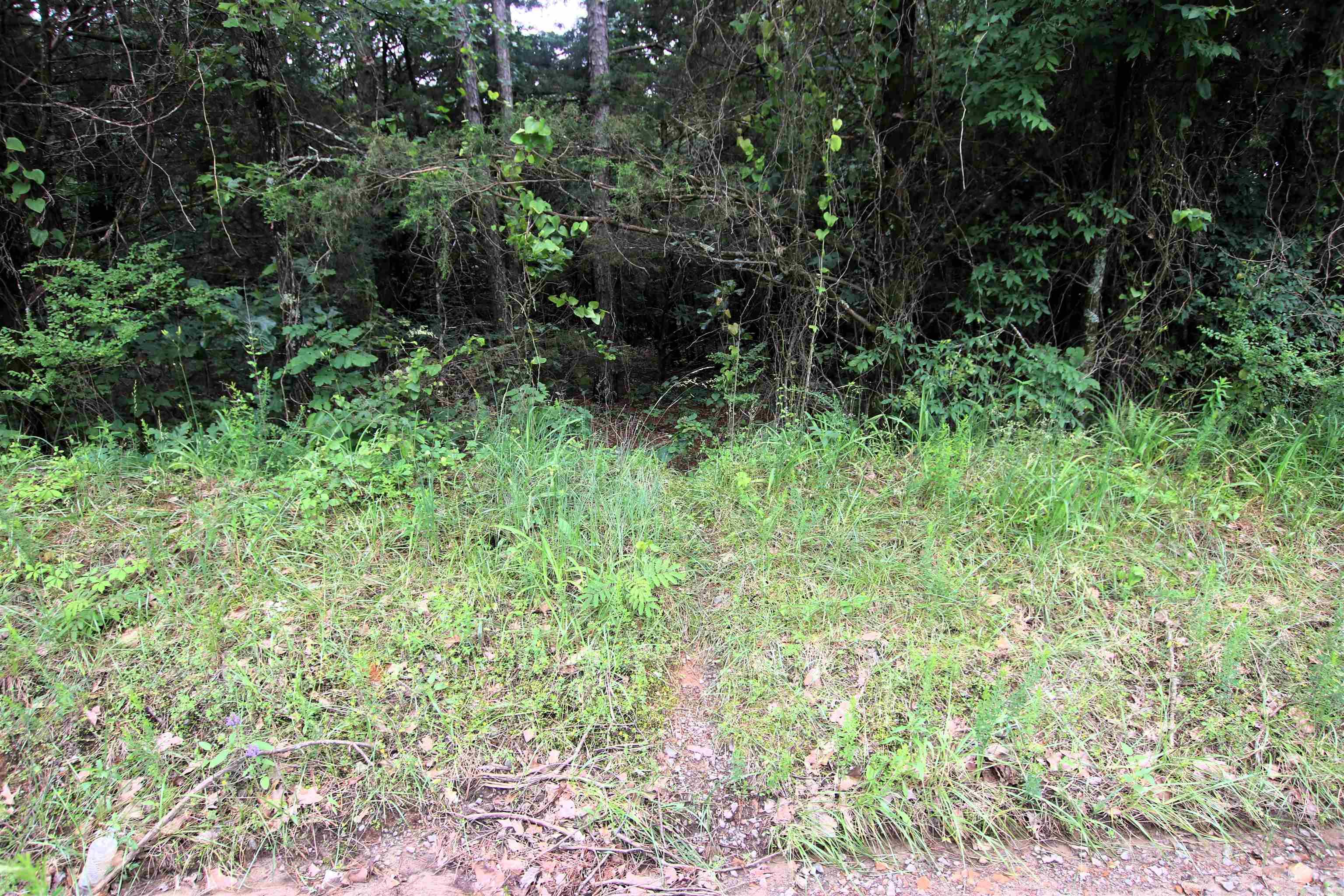 000  Merryman  Clinton, AR